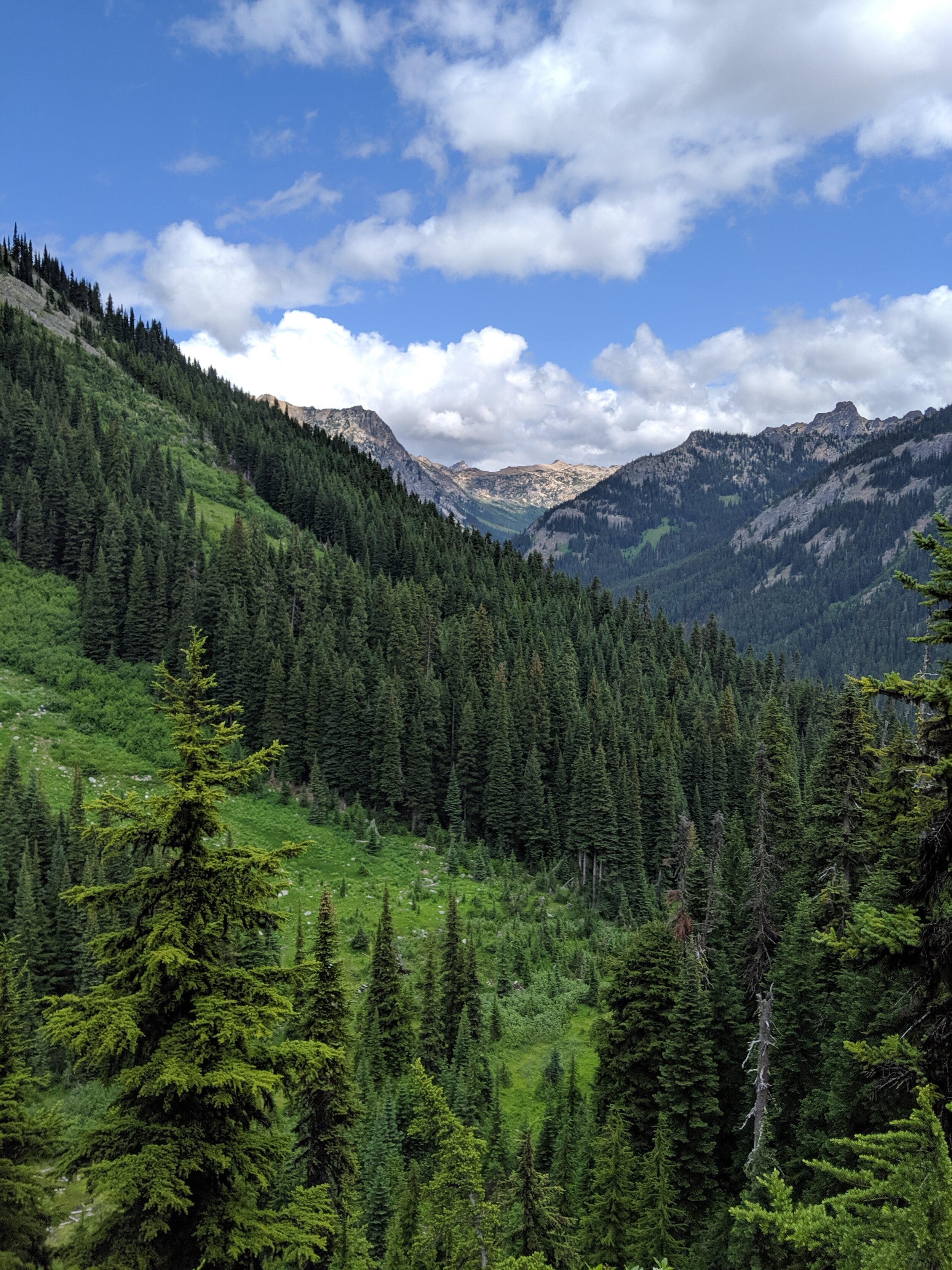 IMG_20190716_113746.jpg