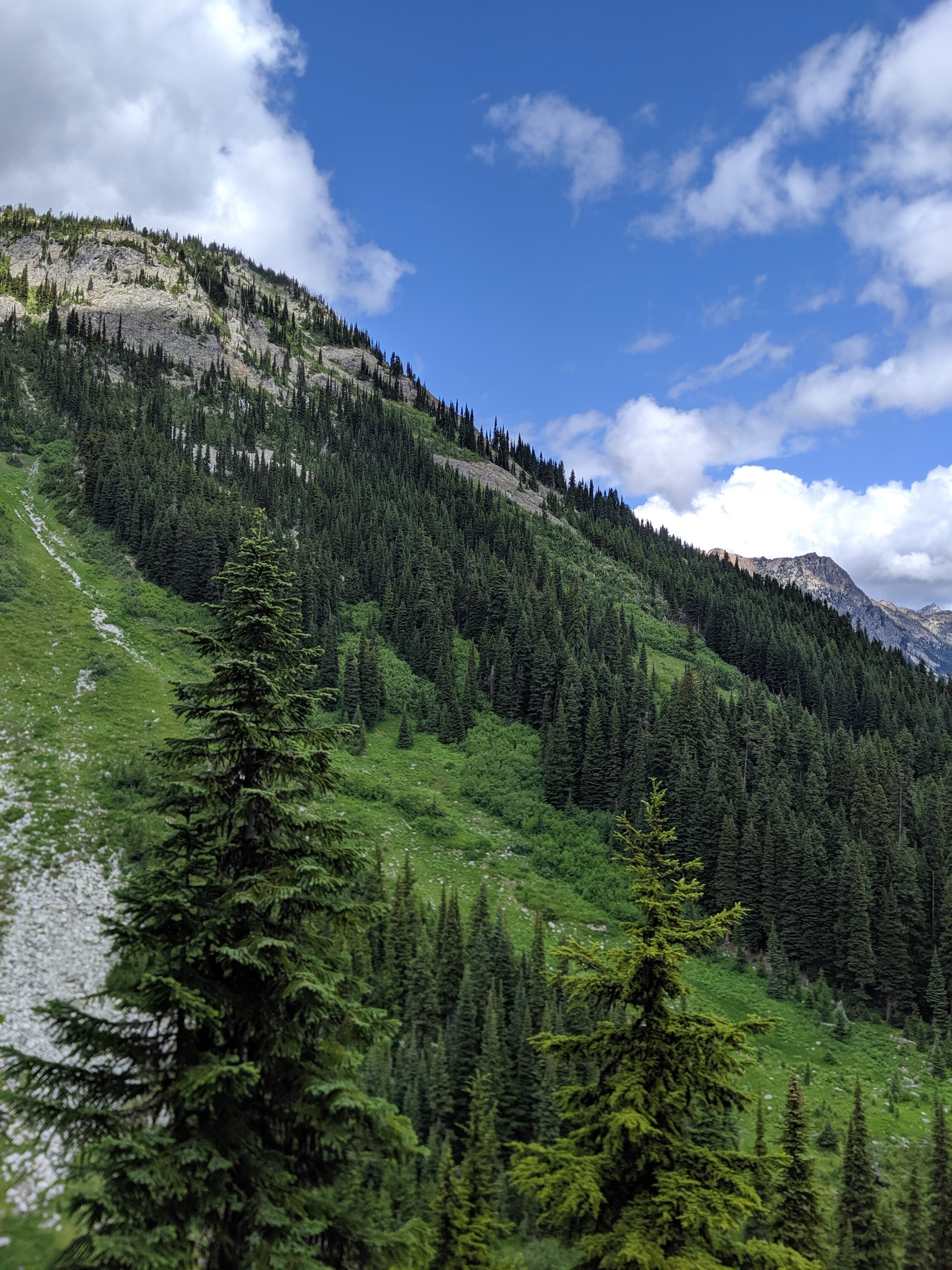 IMG_20190716_113740.jpg