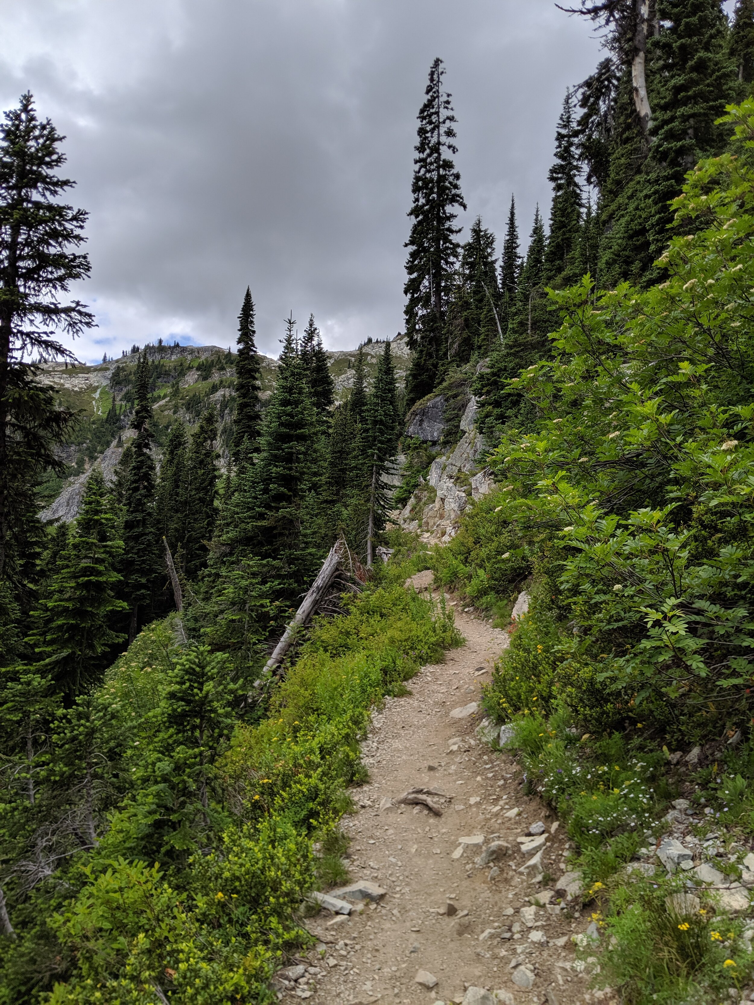 IMG_20190716_120106.jpg