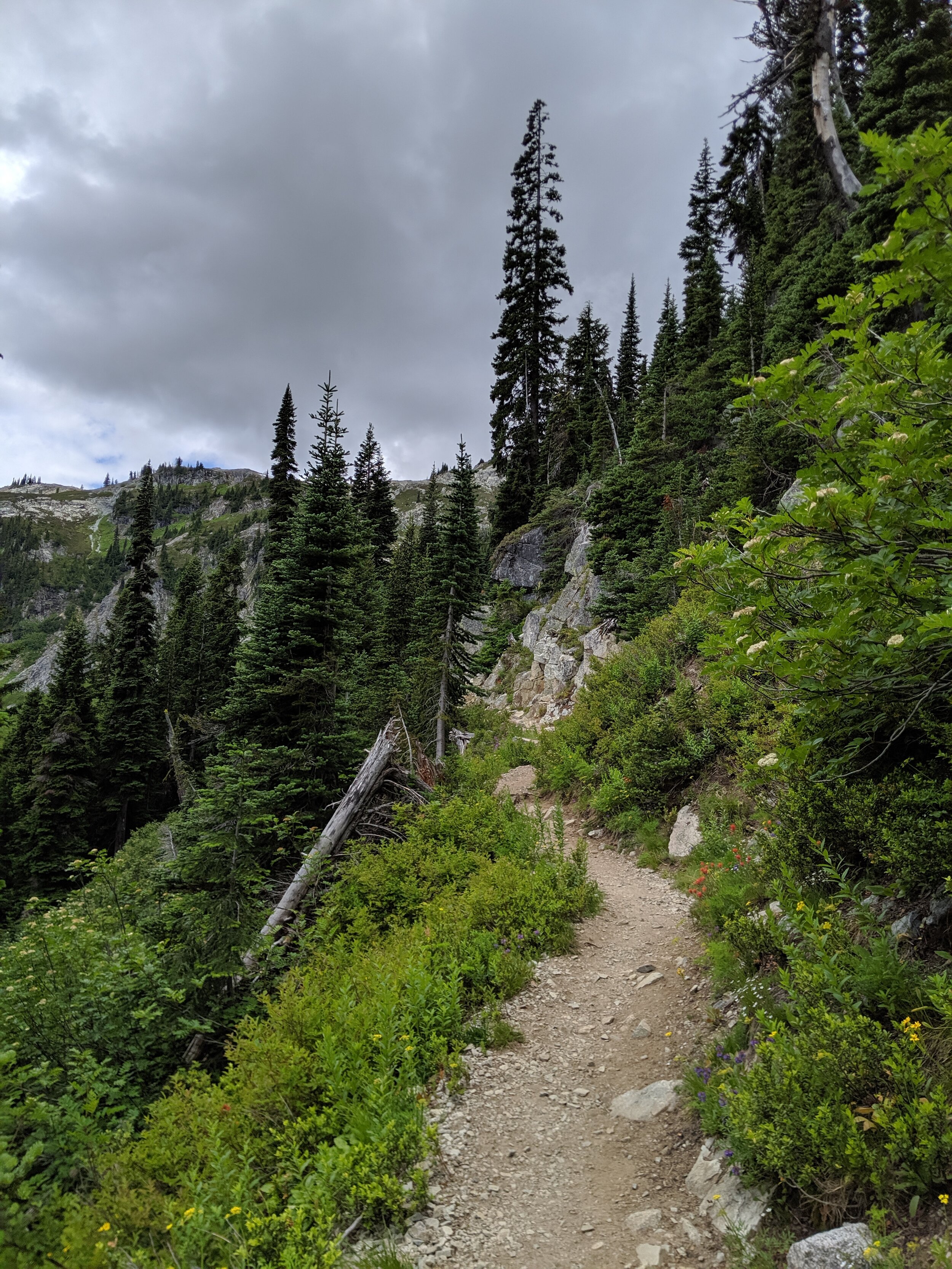 IMG_20190716_120112.jpg