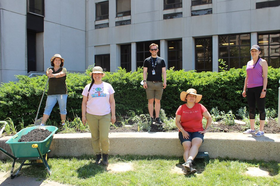 UHN Michener garden install.jpeg