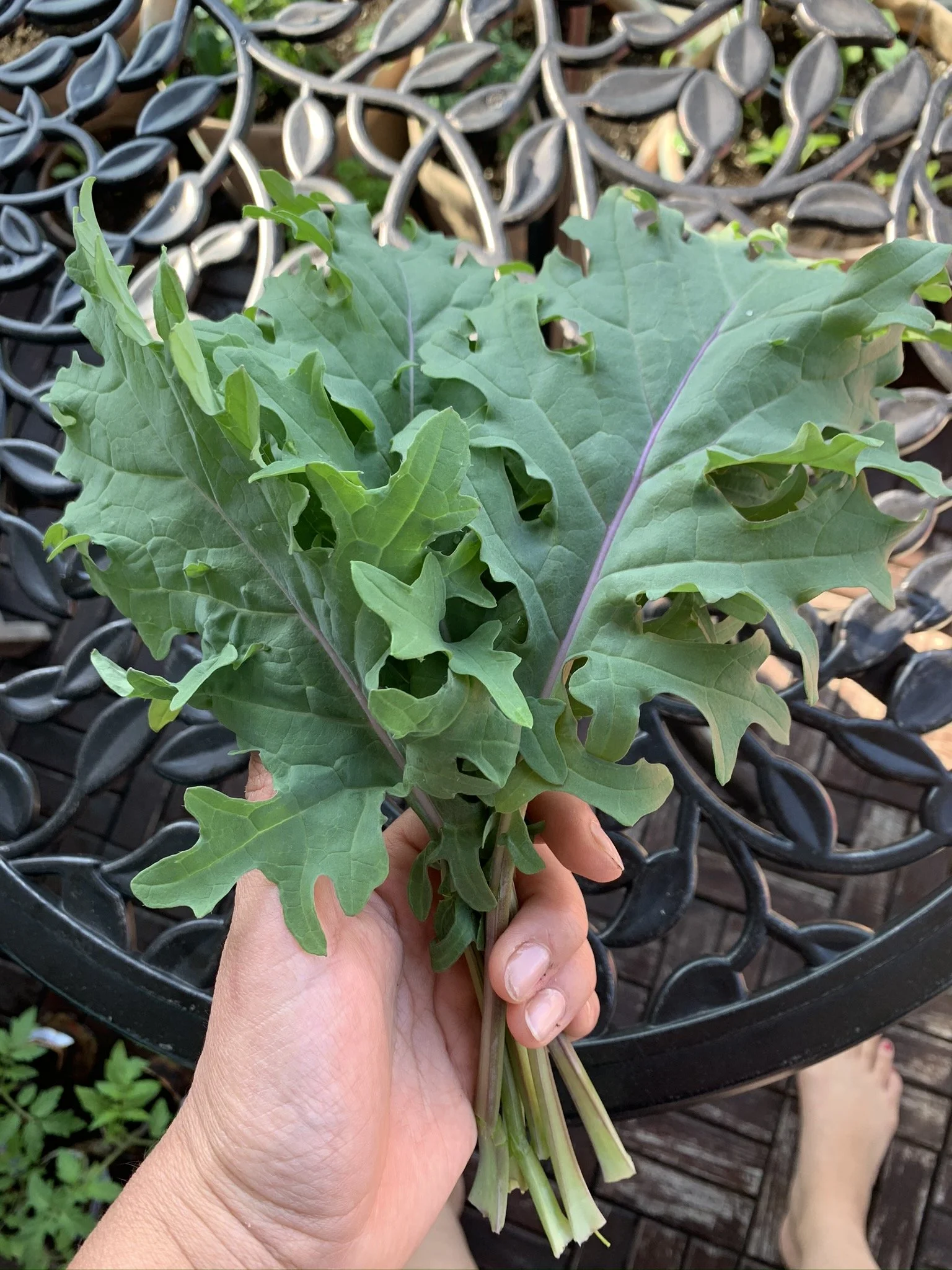 Garden checklist for an unpredictable spring