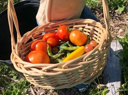 Gardening for climate change