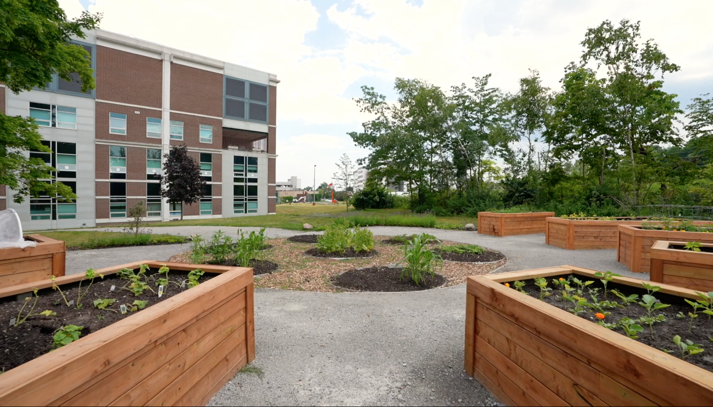 Screen Shot 2026-03-25 at 9.12.52 PM.png