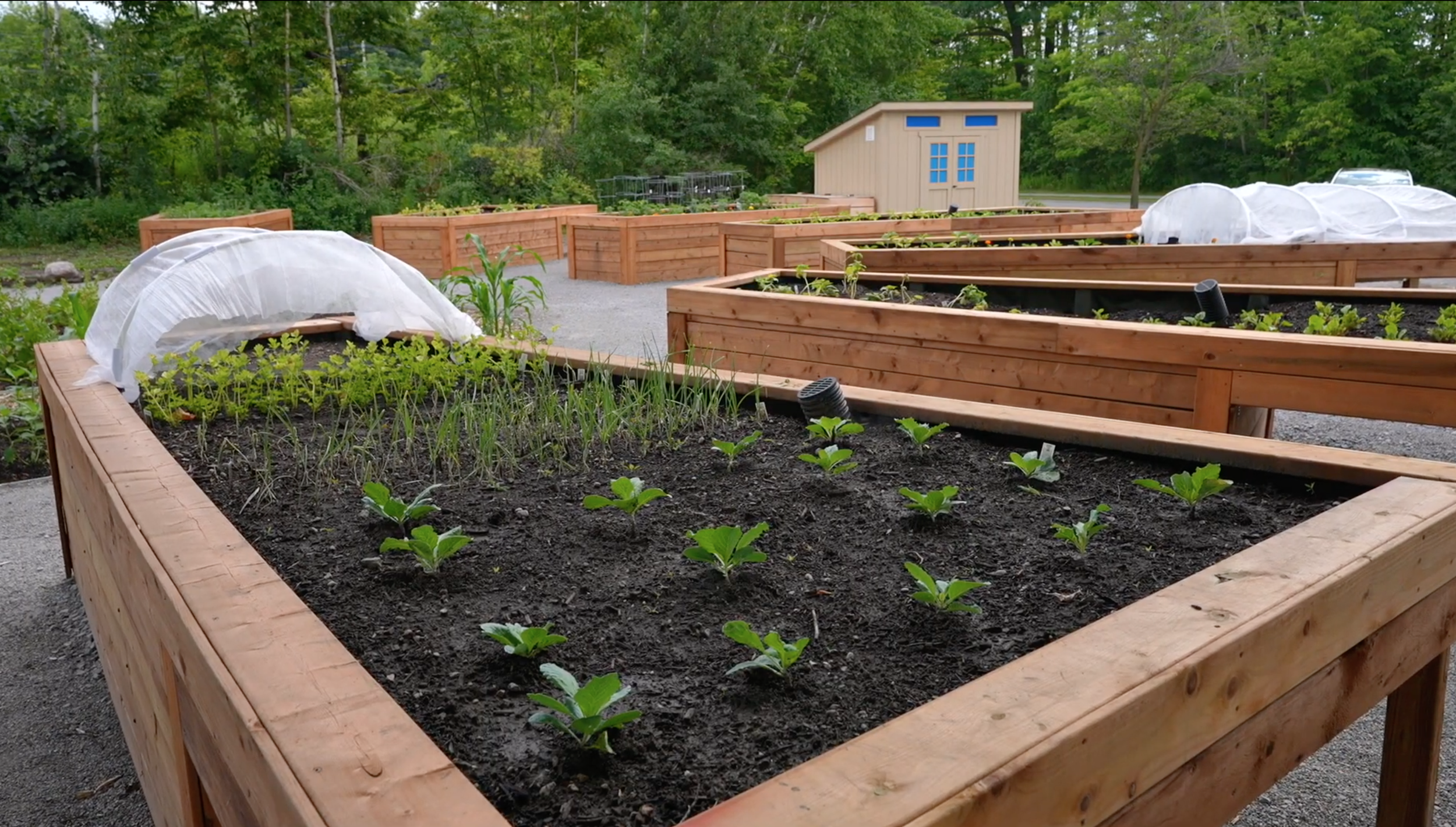 Screen Shot 2026-03-25 at 9.13.01 PM.png