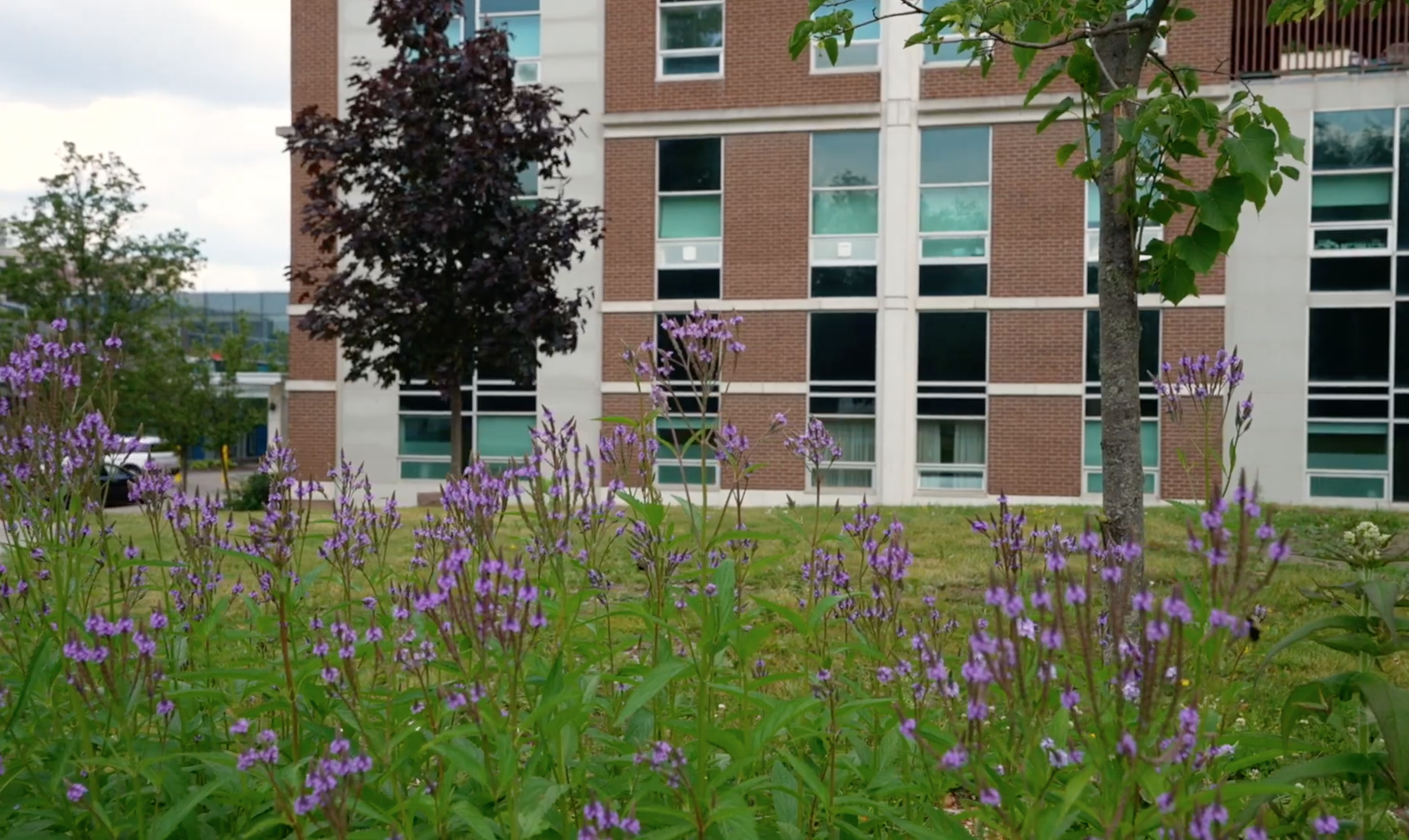 Screen Shot 2026-03-25 at 9.07.07 PM.png