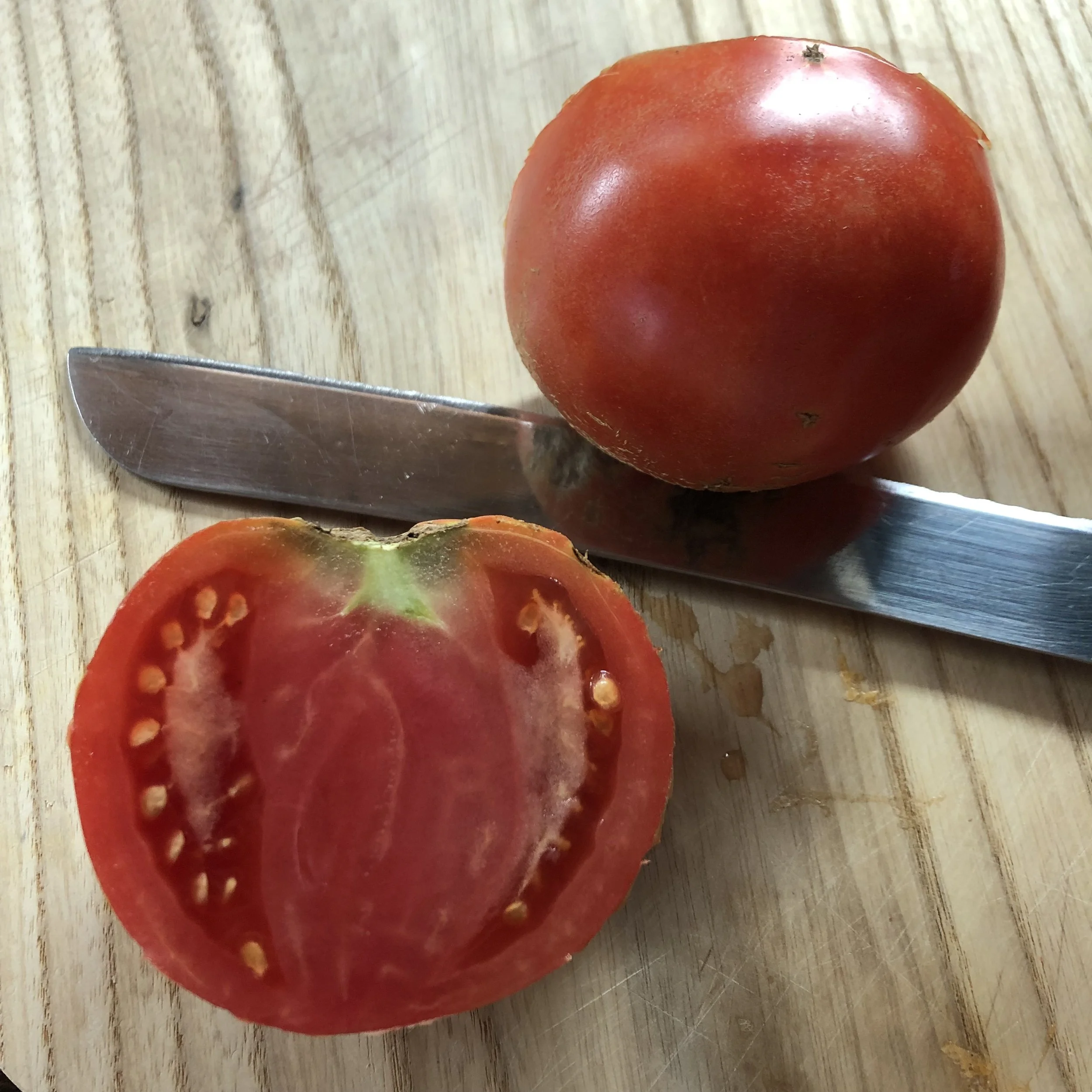 Tomato - Sioux