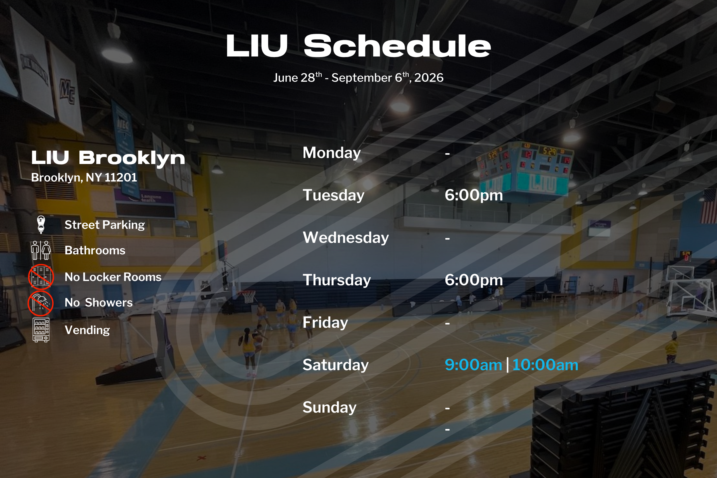 NYC Newsletter Assets (2500 × 1667 px) (4).png
