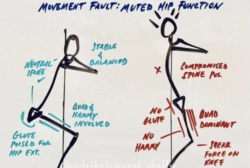 What is "Muted Hip?"