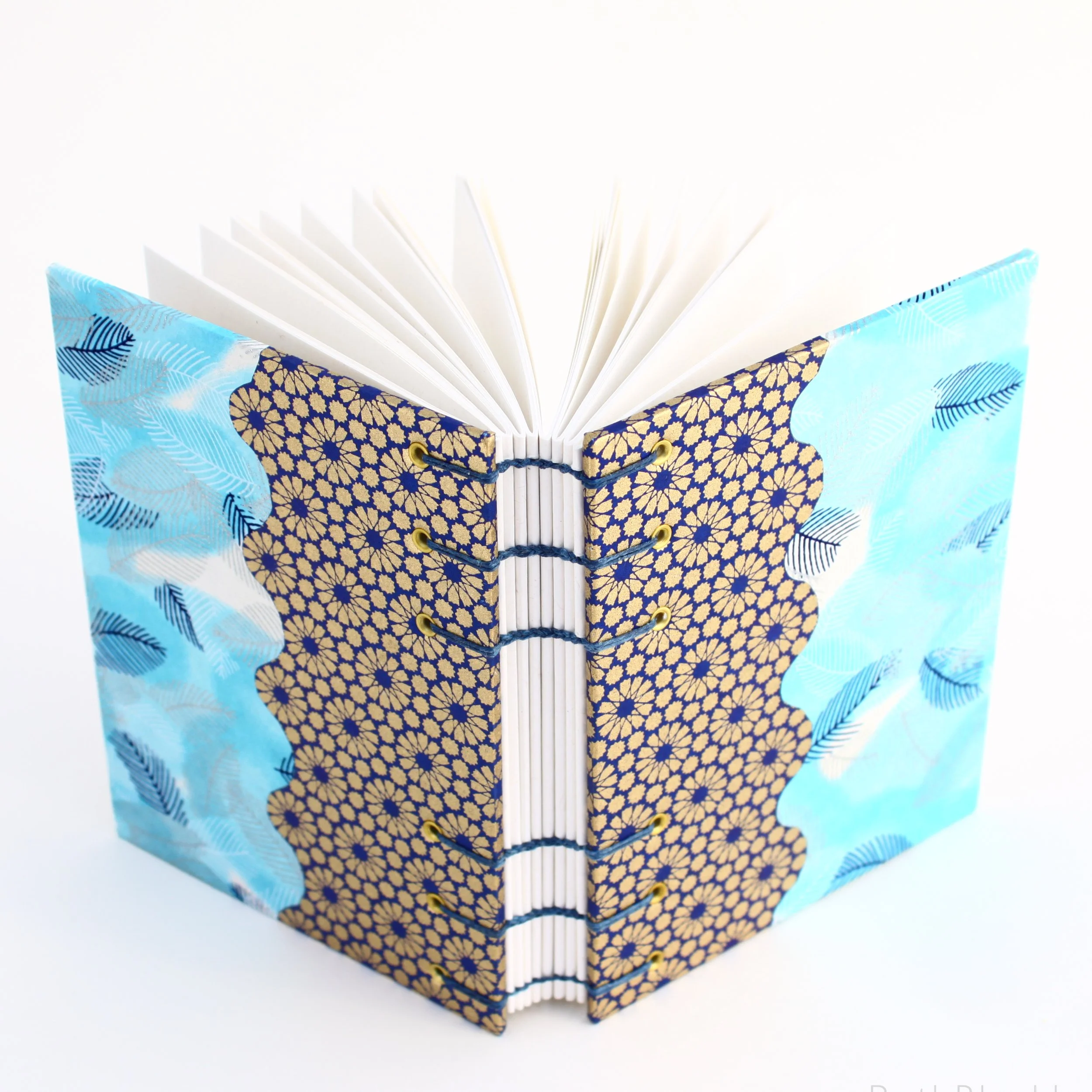 Blue Feathers and Golden Wheels Journal