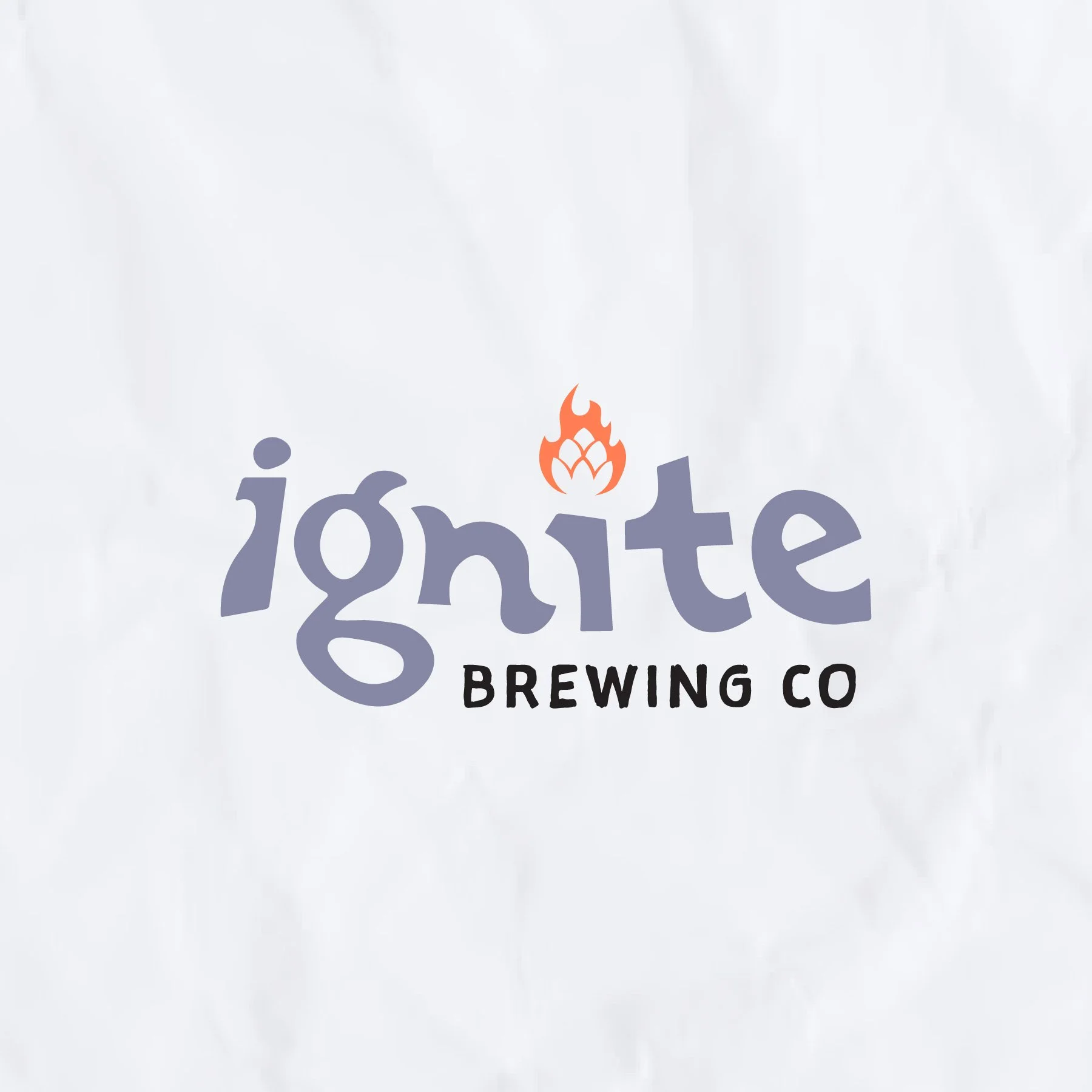 Ignite Brewing Co (just for fun)
