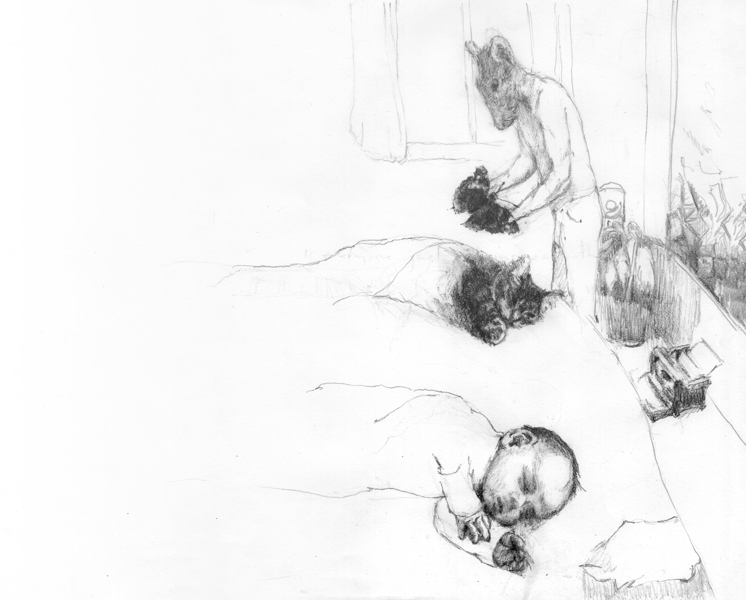 perfect symmetry doesn't exist in nature