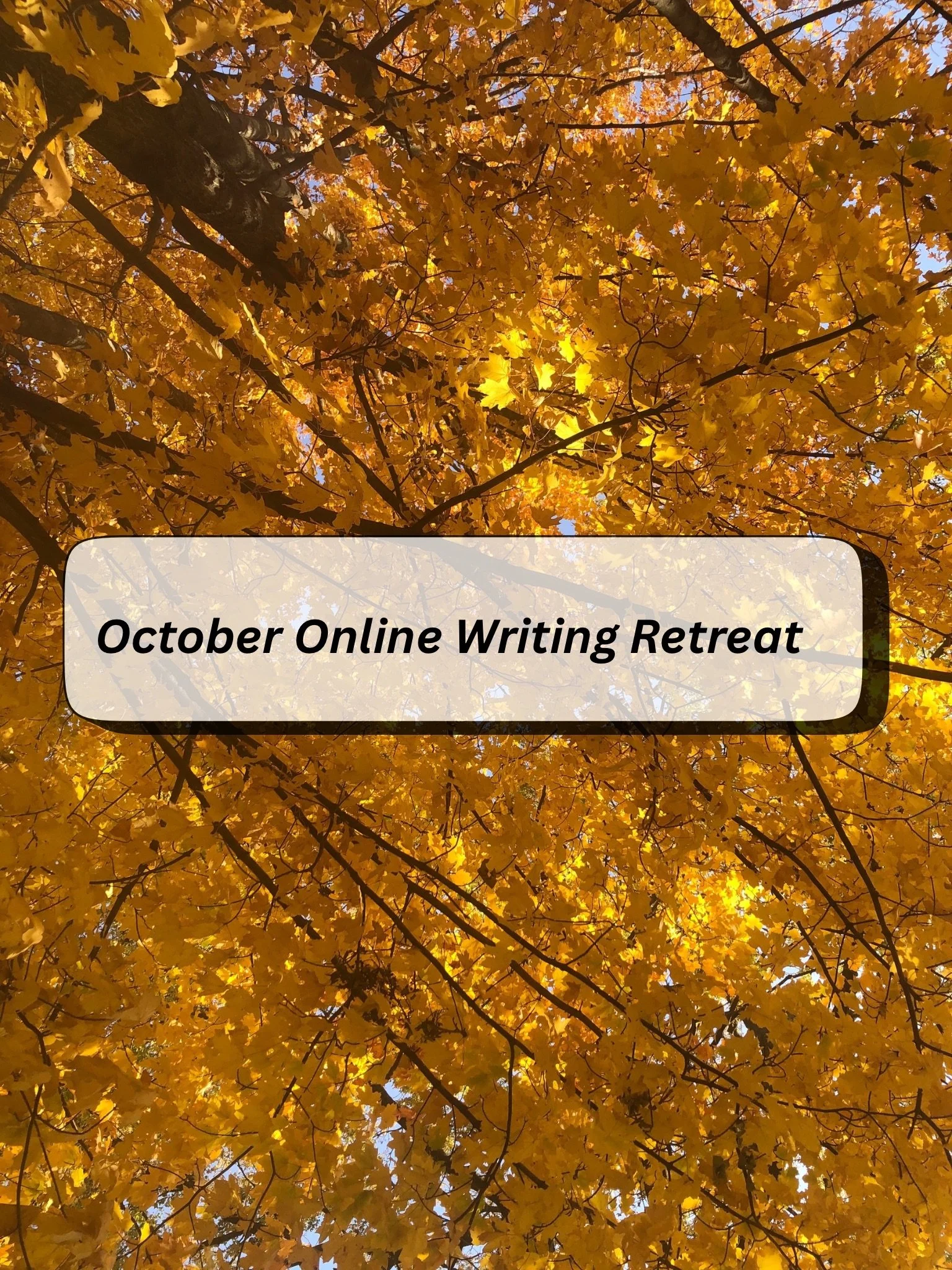 2025 October Online Writing Retreat - top price