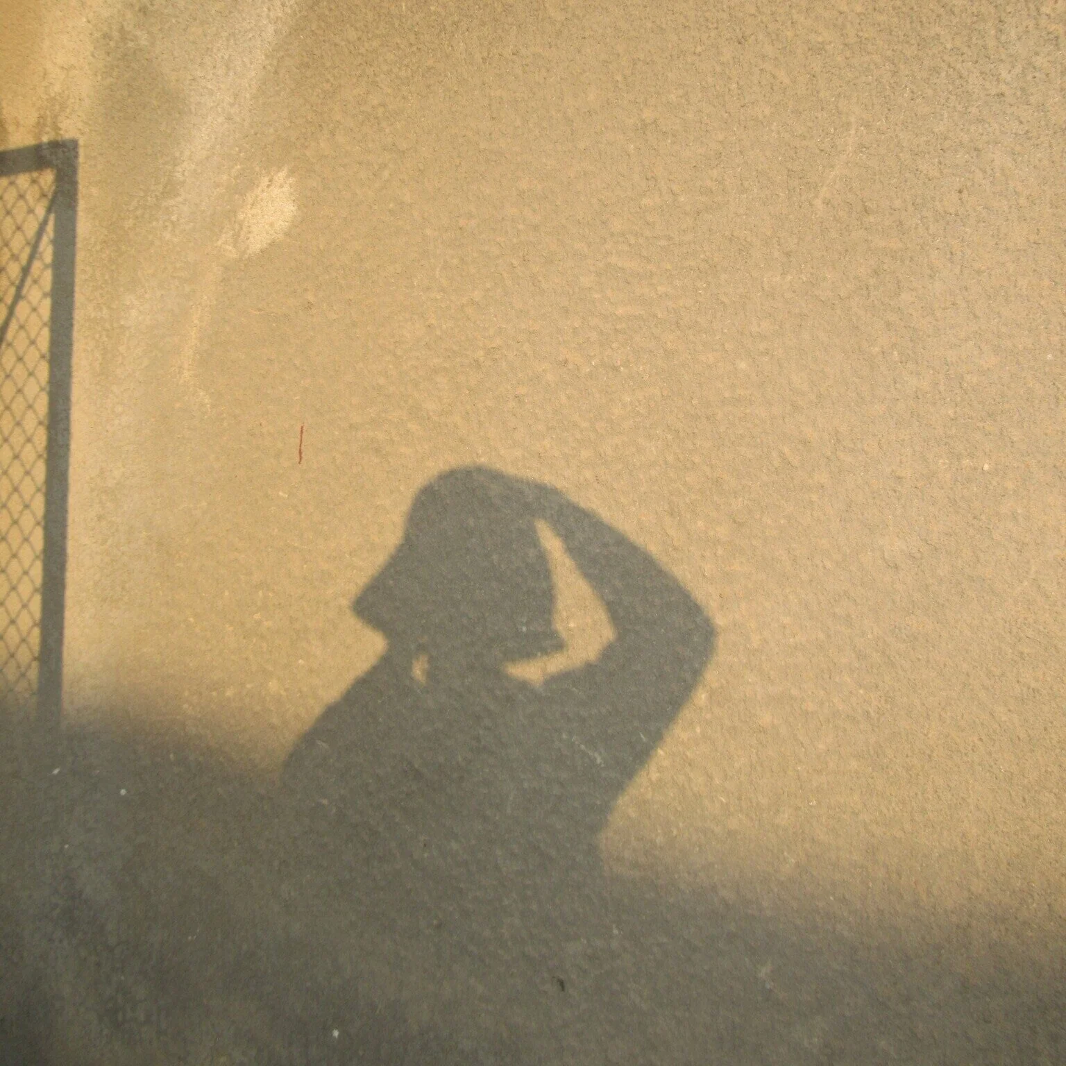 27828576_Unknown.JPG