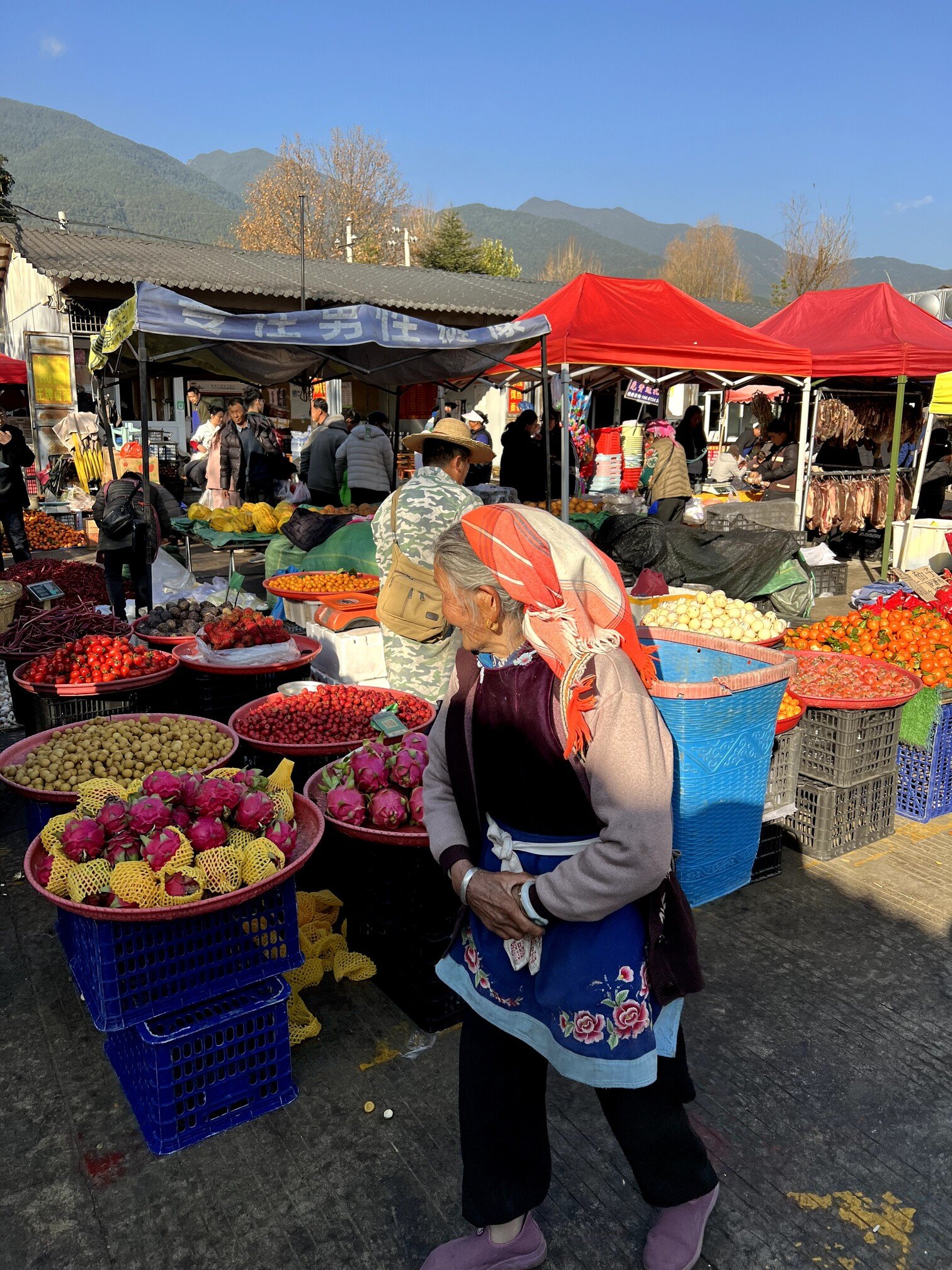 The Living Marketplace