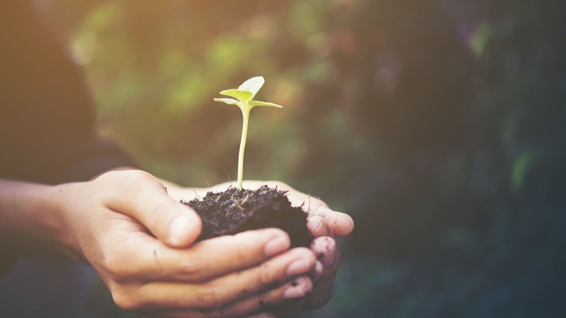 Always With You: A Different Liturgy for Mother’s Day