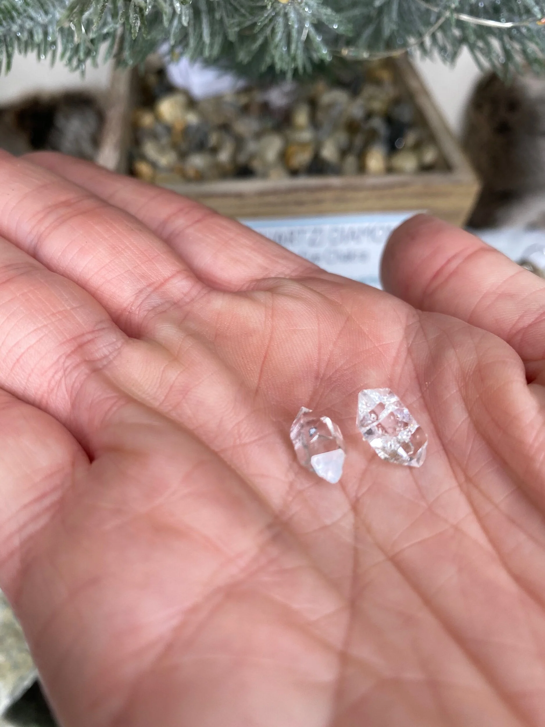 B96AA6FA-8848-40CF-9284-EB8E0727BDEE