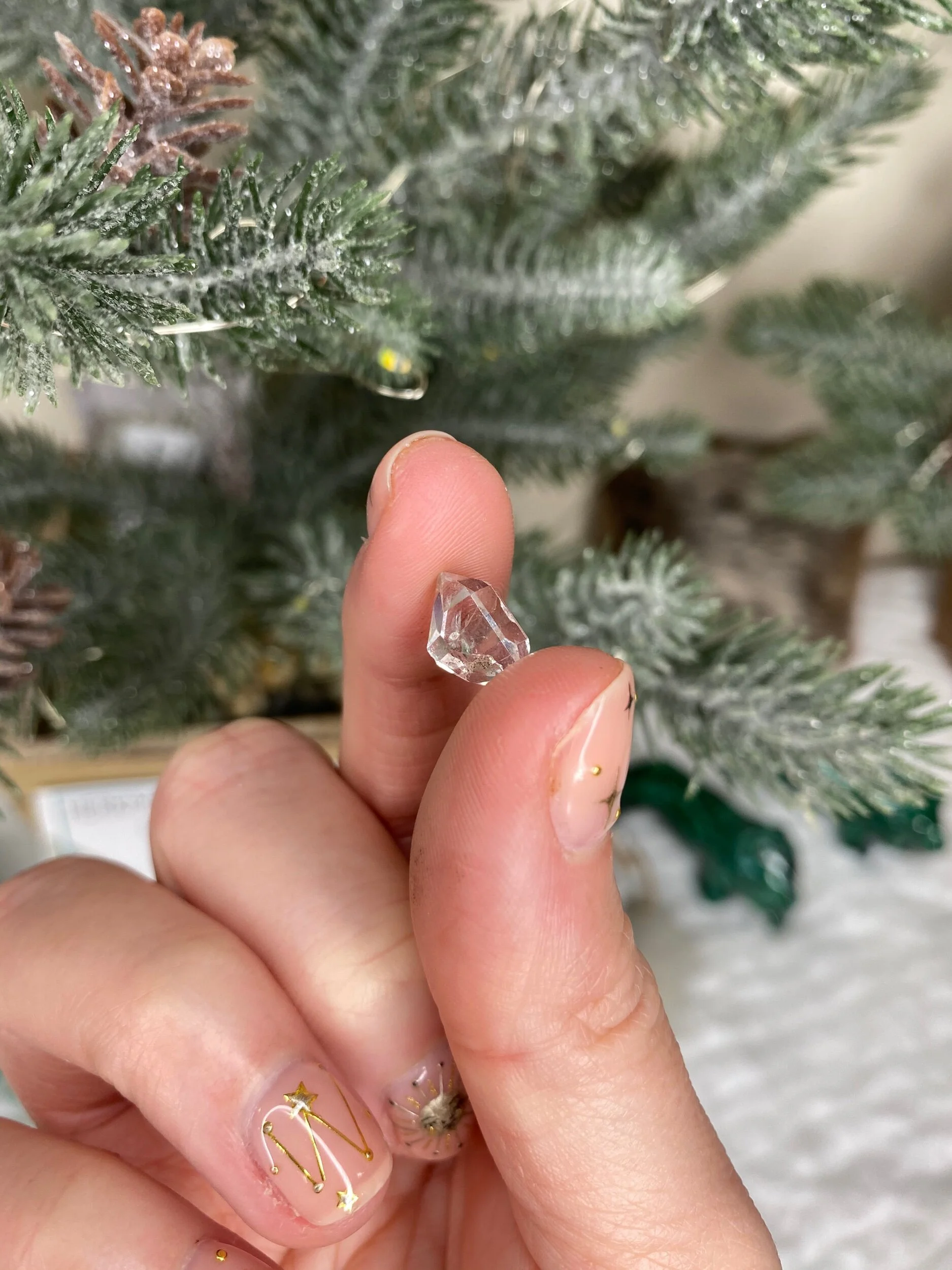 023D7076-8189-409A-86B6-4CD8D06B4FBA