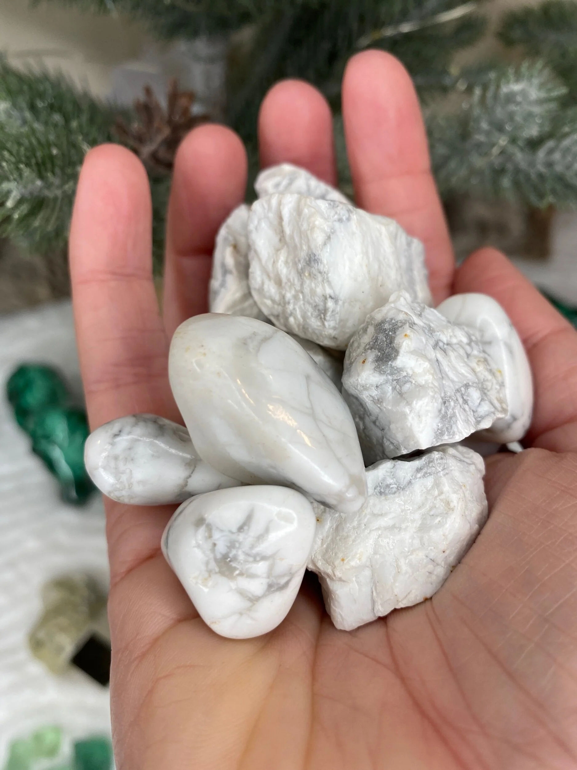 2CAB4286-F452-4732-9ED8-CE95C97269E6