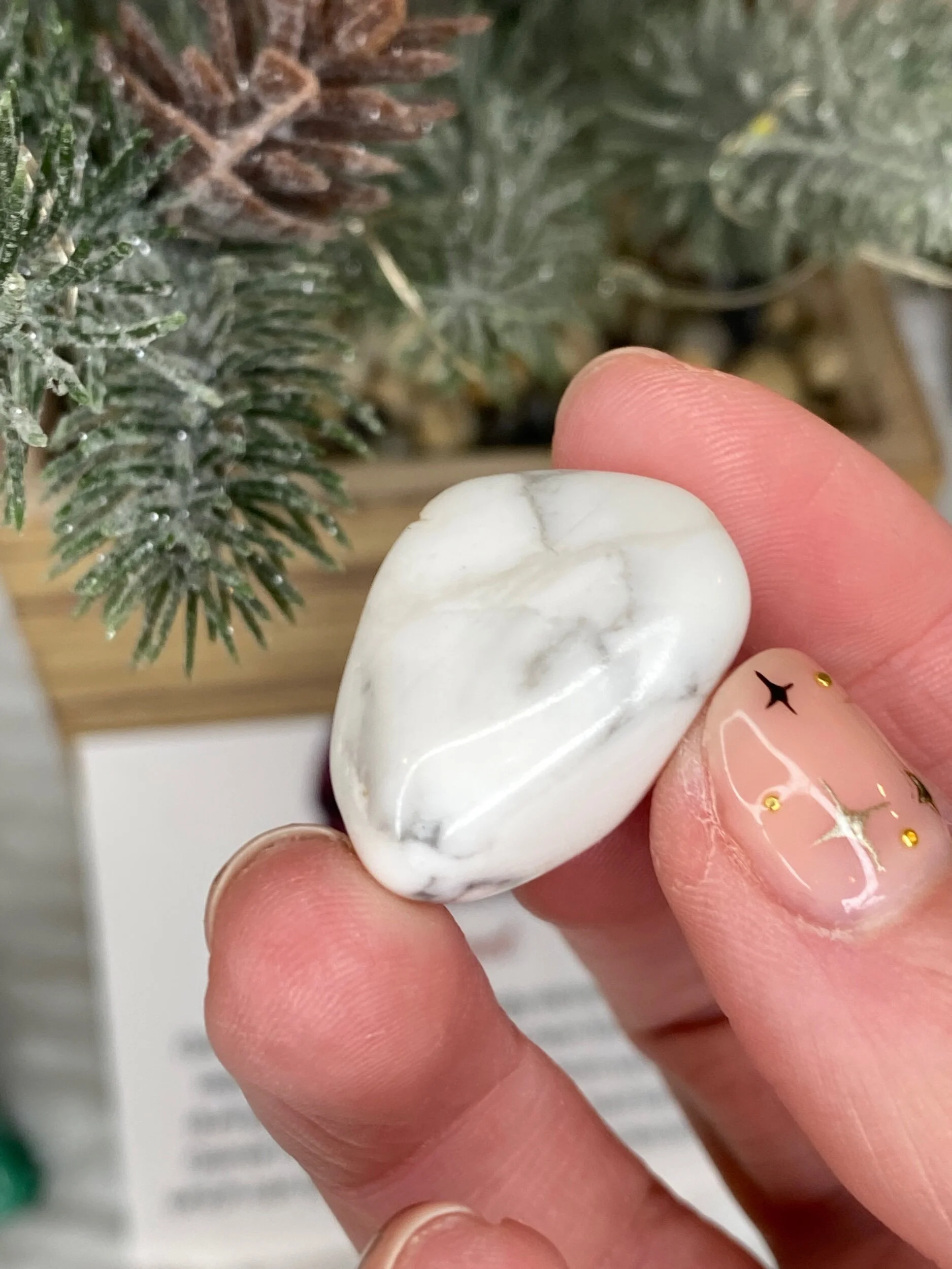 0B0D8E5E-9246-43BF-9C6F-803C068B1A9F