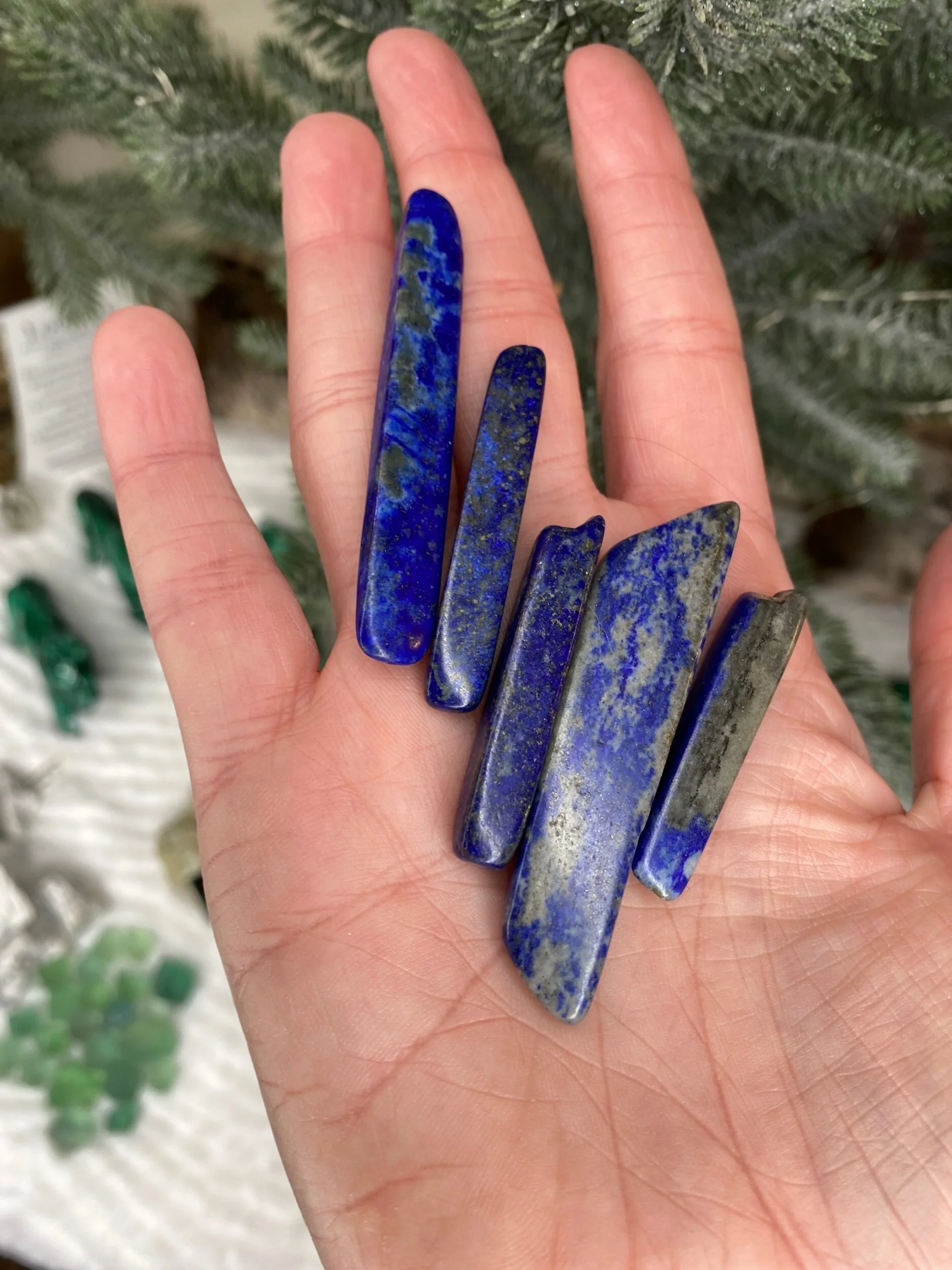 48CD1A0D-6A66-425C-8355-ECAA2312D5F1