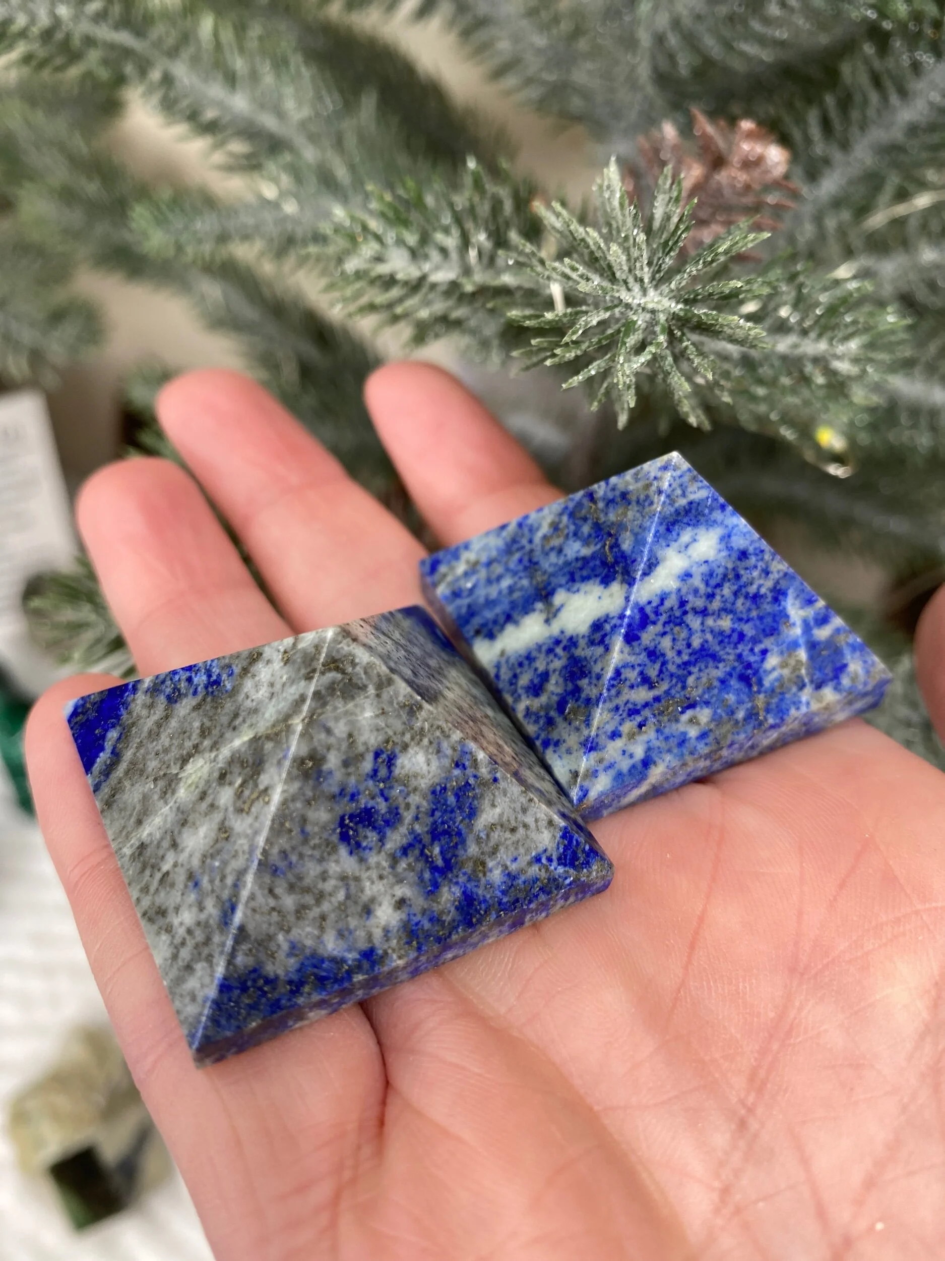 B57C01EA-44D5-445E-979D-C07E7DCC4CFC