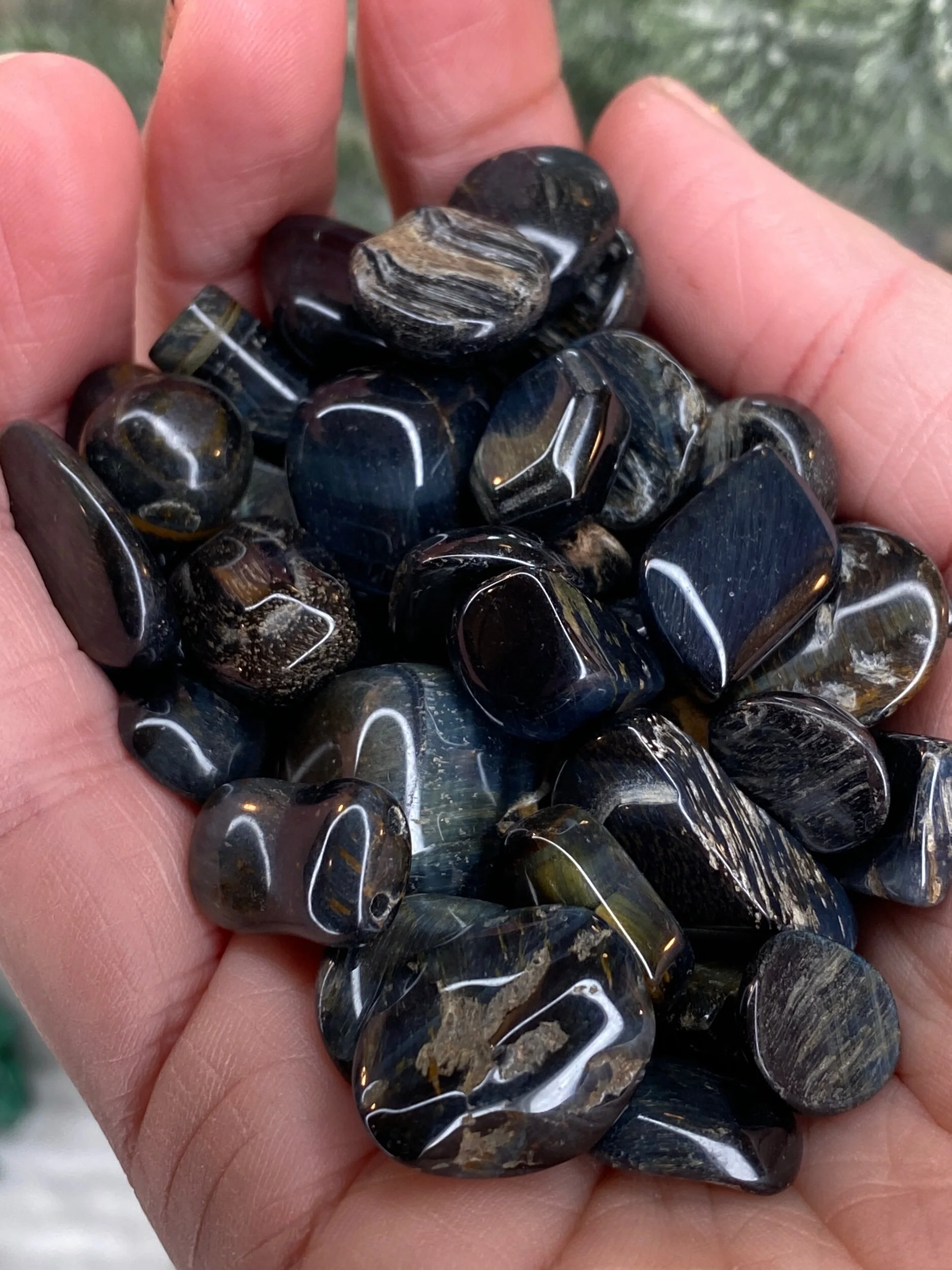 B255F2A8-31D2-4185-B117-E5CD4EE967CD