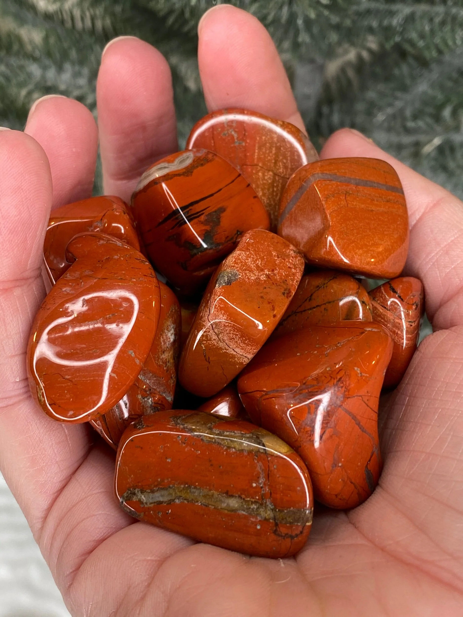 E48F3E11-33B4-4B2F-8822-8D53E495F269