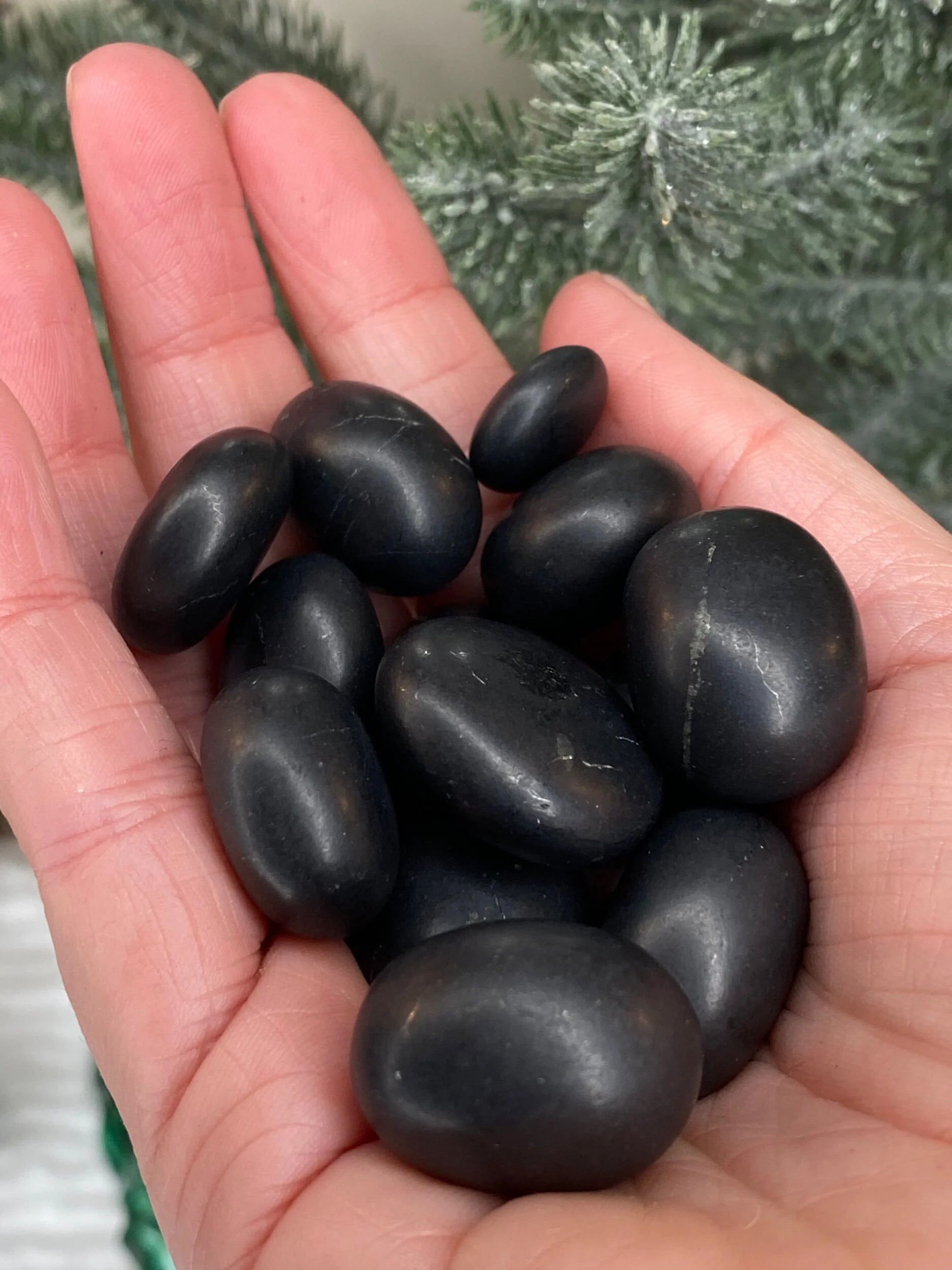 C1798A74-0984-4539-A352-3D49173FFF6A