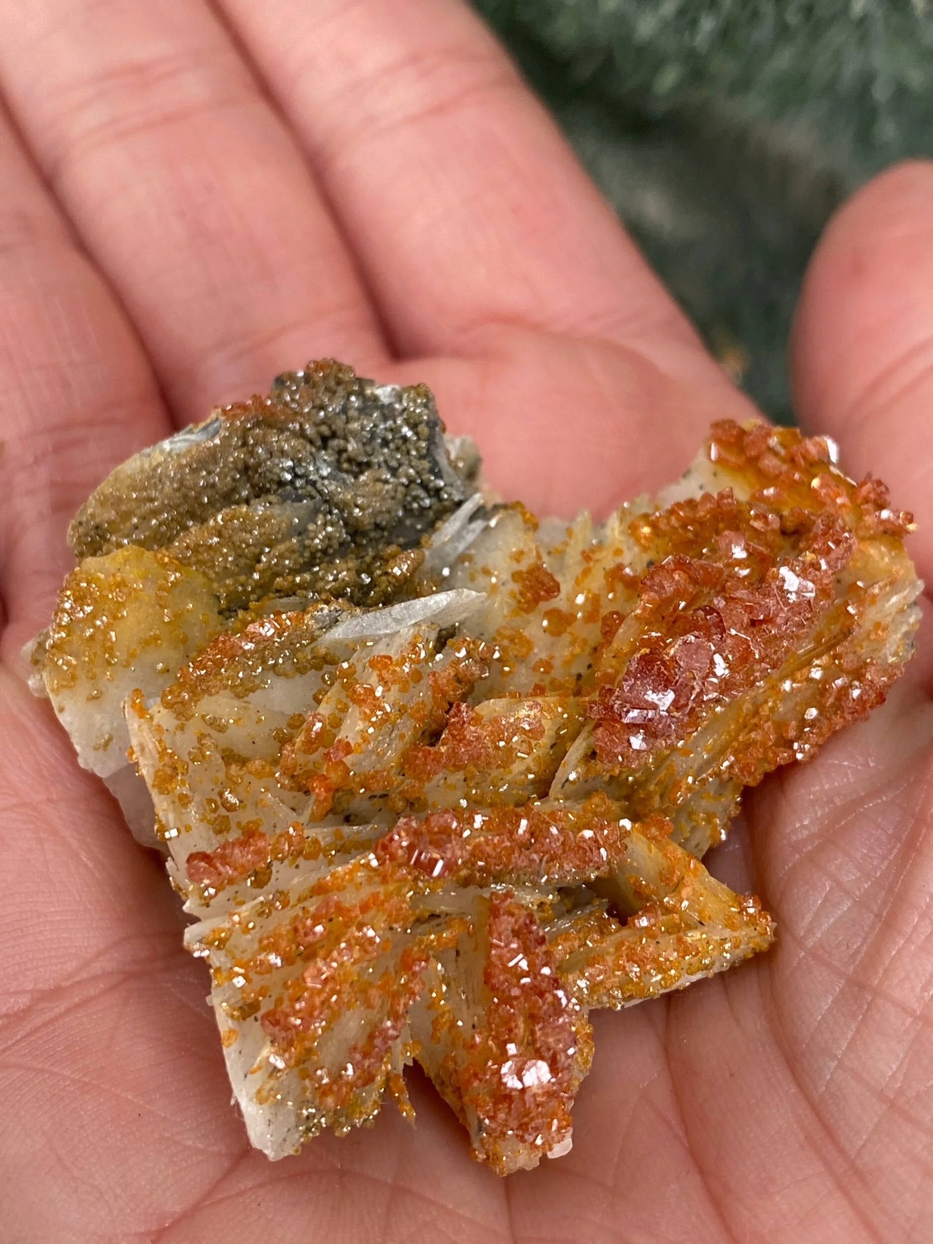 A2A10269-E966-437A-82E6-A1C764B1B1A0