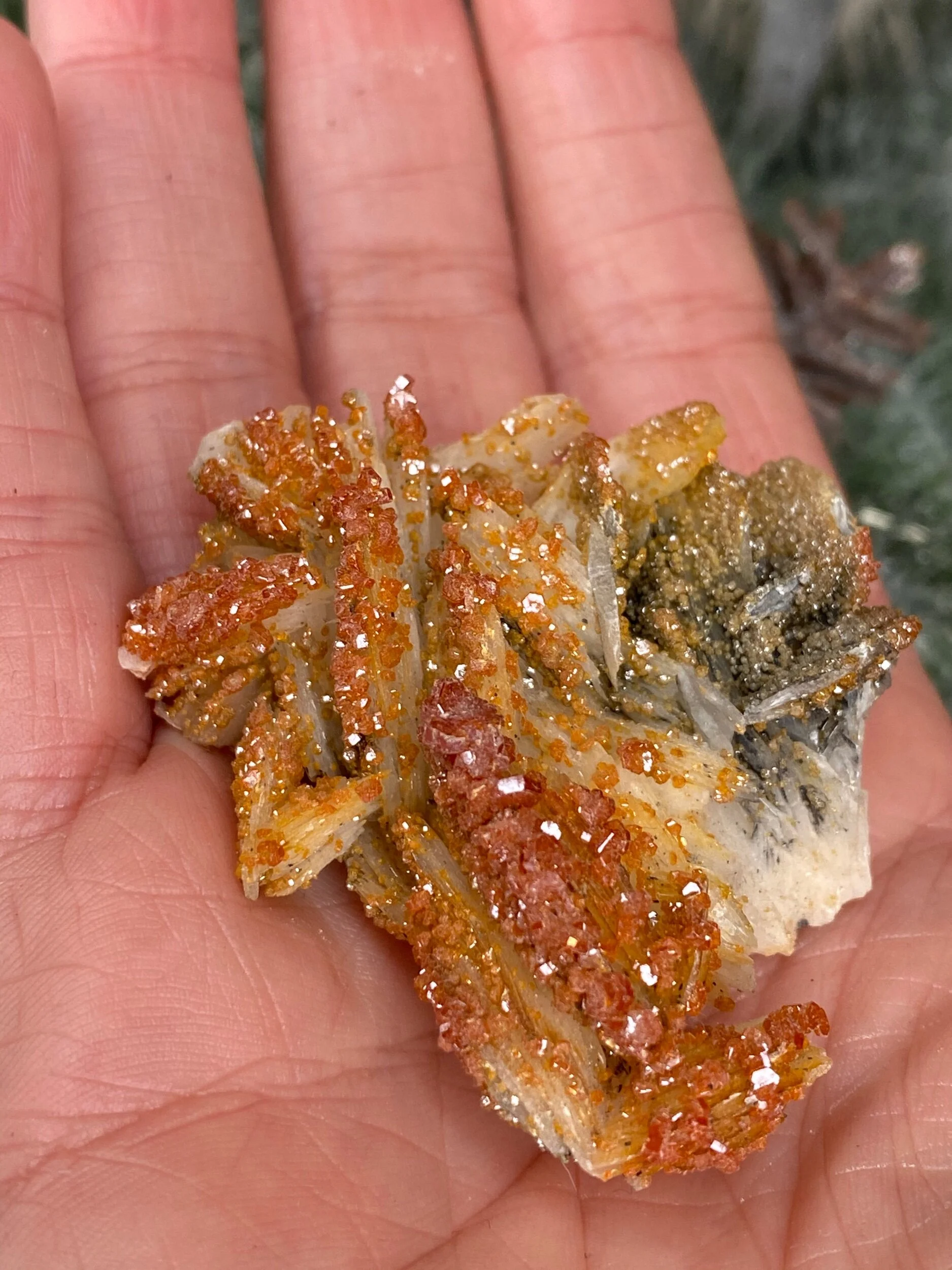 B284360A-3E5A-40D7-A2DE-B35C15DEA08F