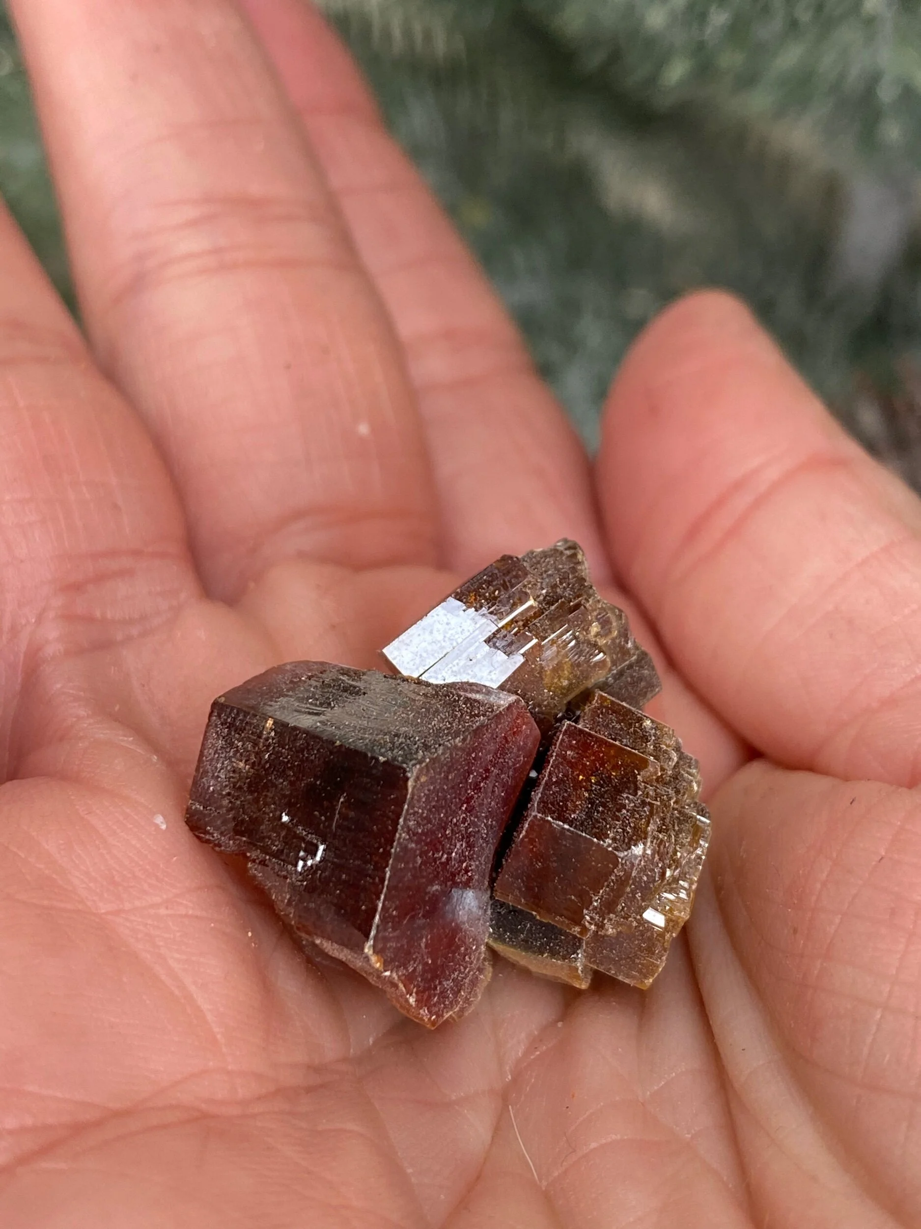 5B4E769E-8E37-4D4F-82EE-DFE806BEBBBA