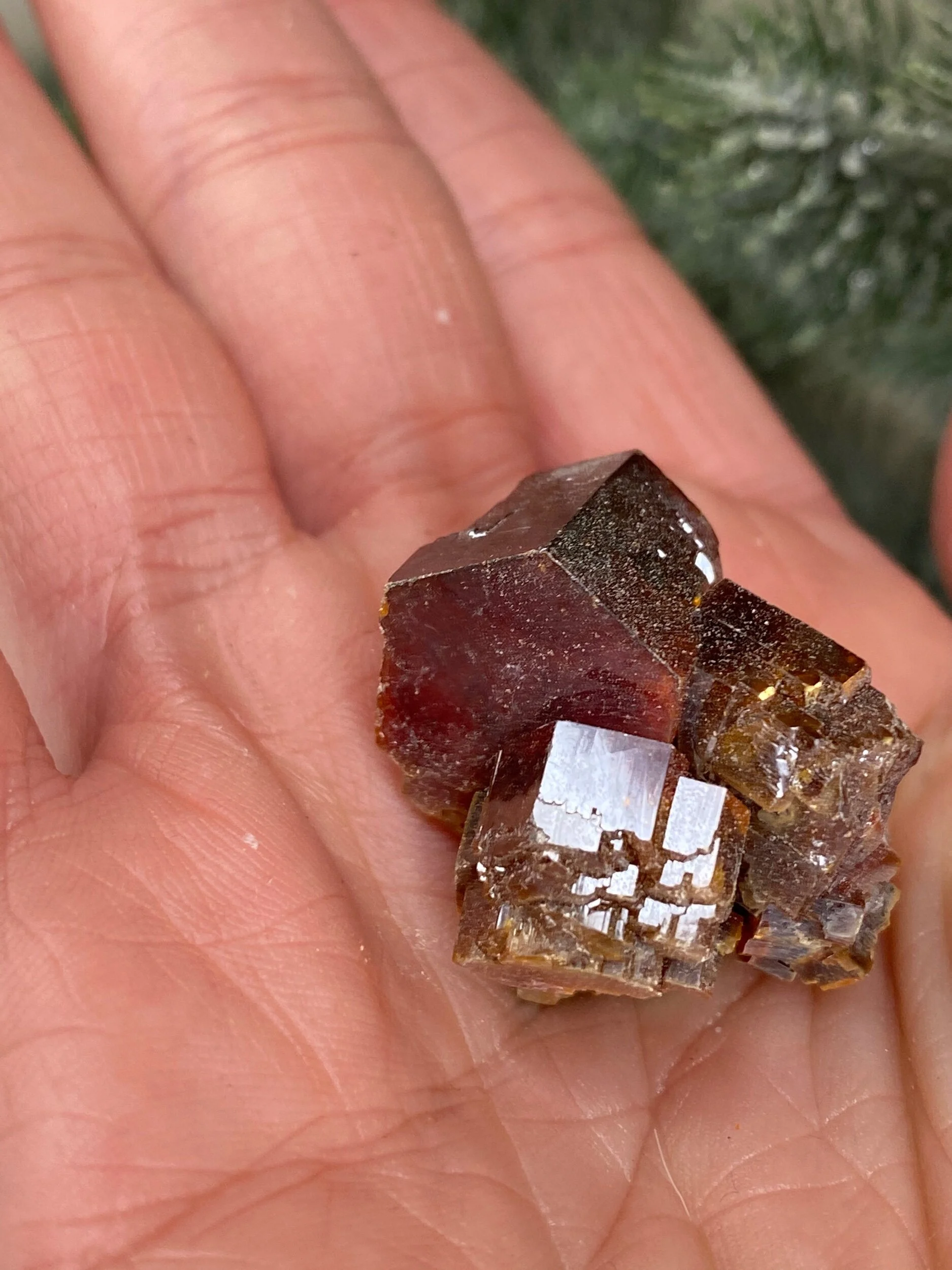 1220C02C-AADF-4990-9B1D-F12E9F9C91A0