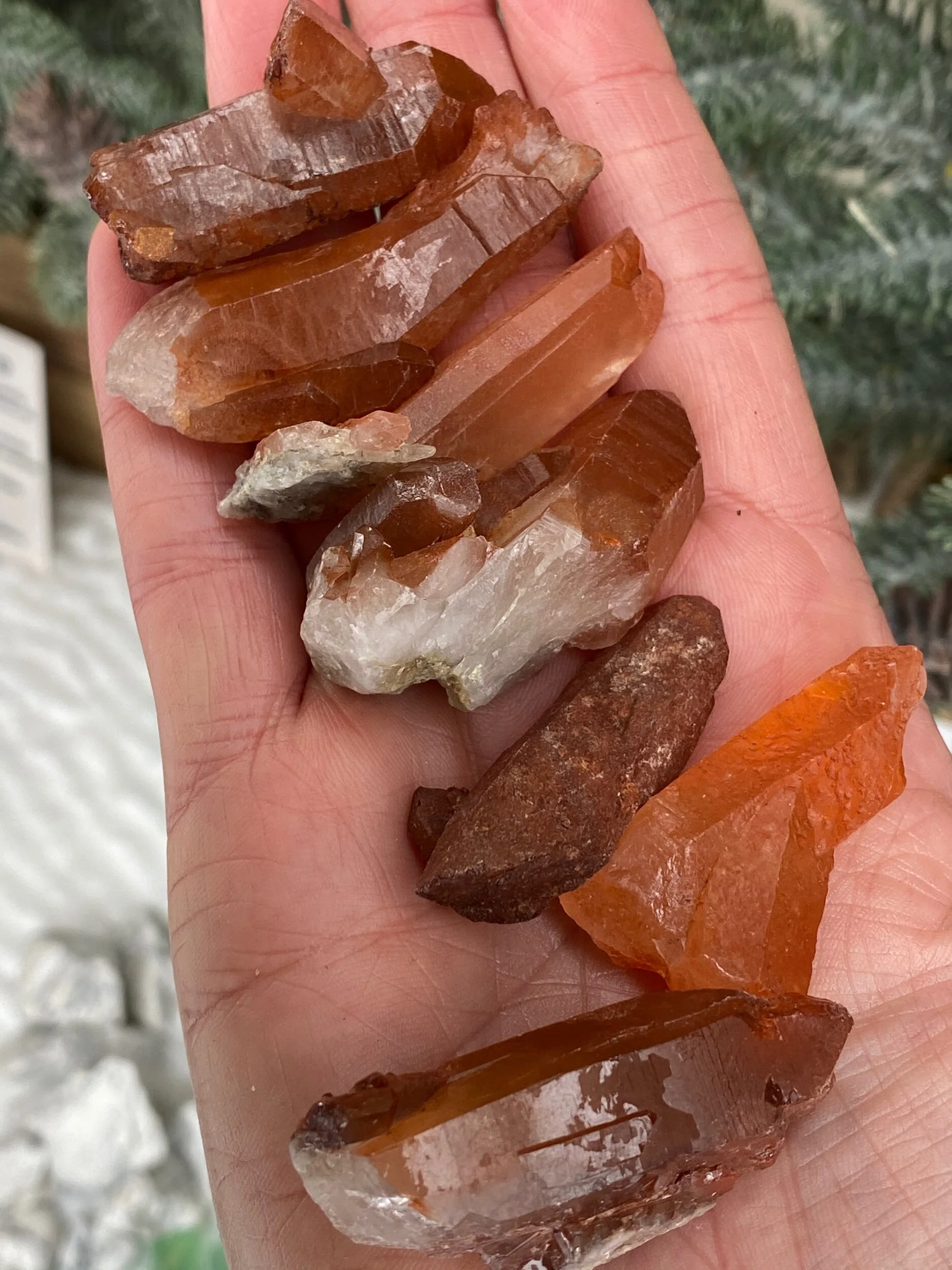 FD22ECF5-4252-41E9-9C37-3909105A9412