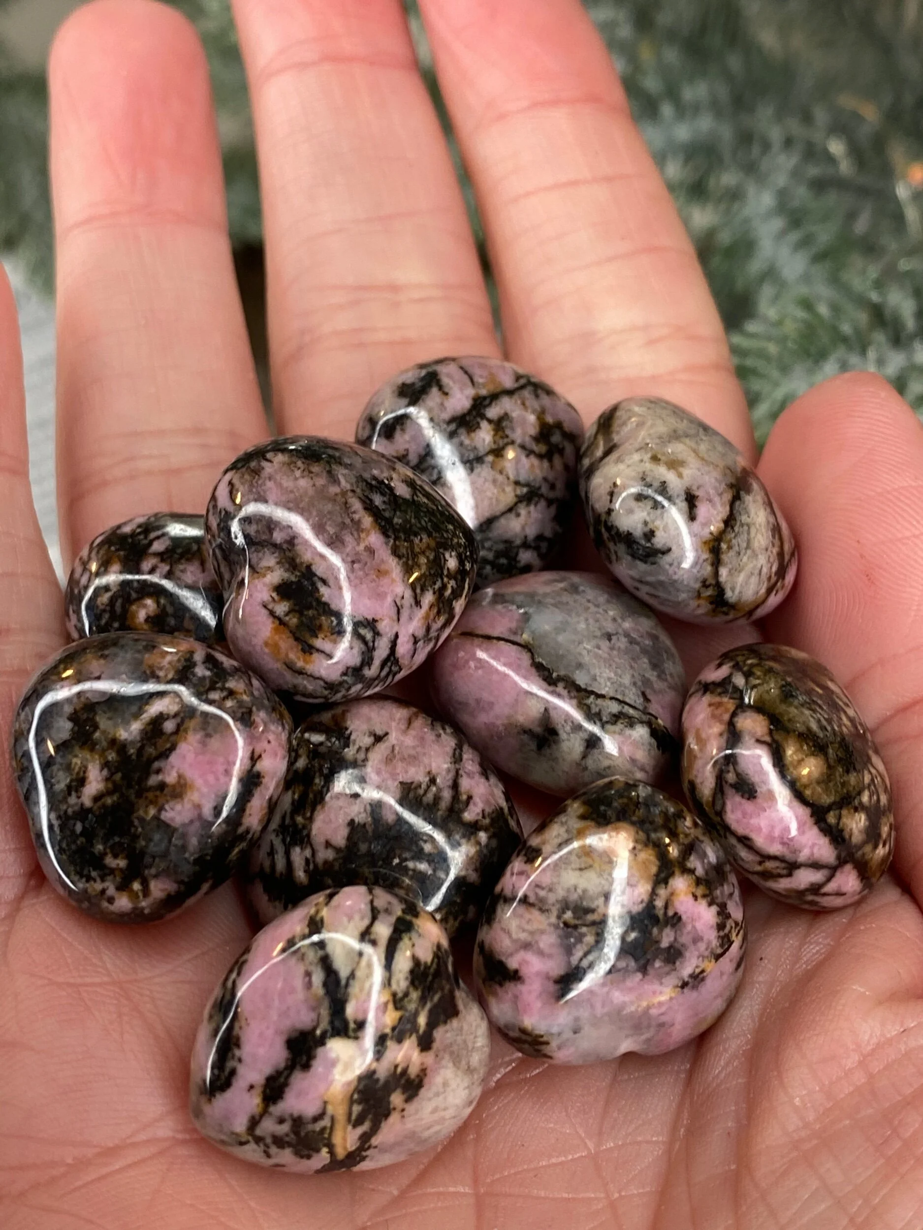 0CC73948-982E-4859-9A66-73478FD758A1