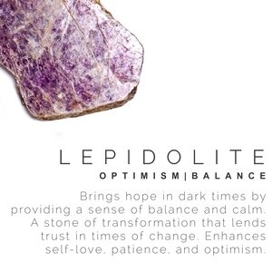 D1421856-F9A2-4A81-9C57-E880ED881CAA