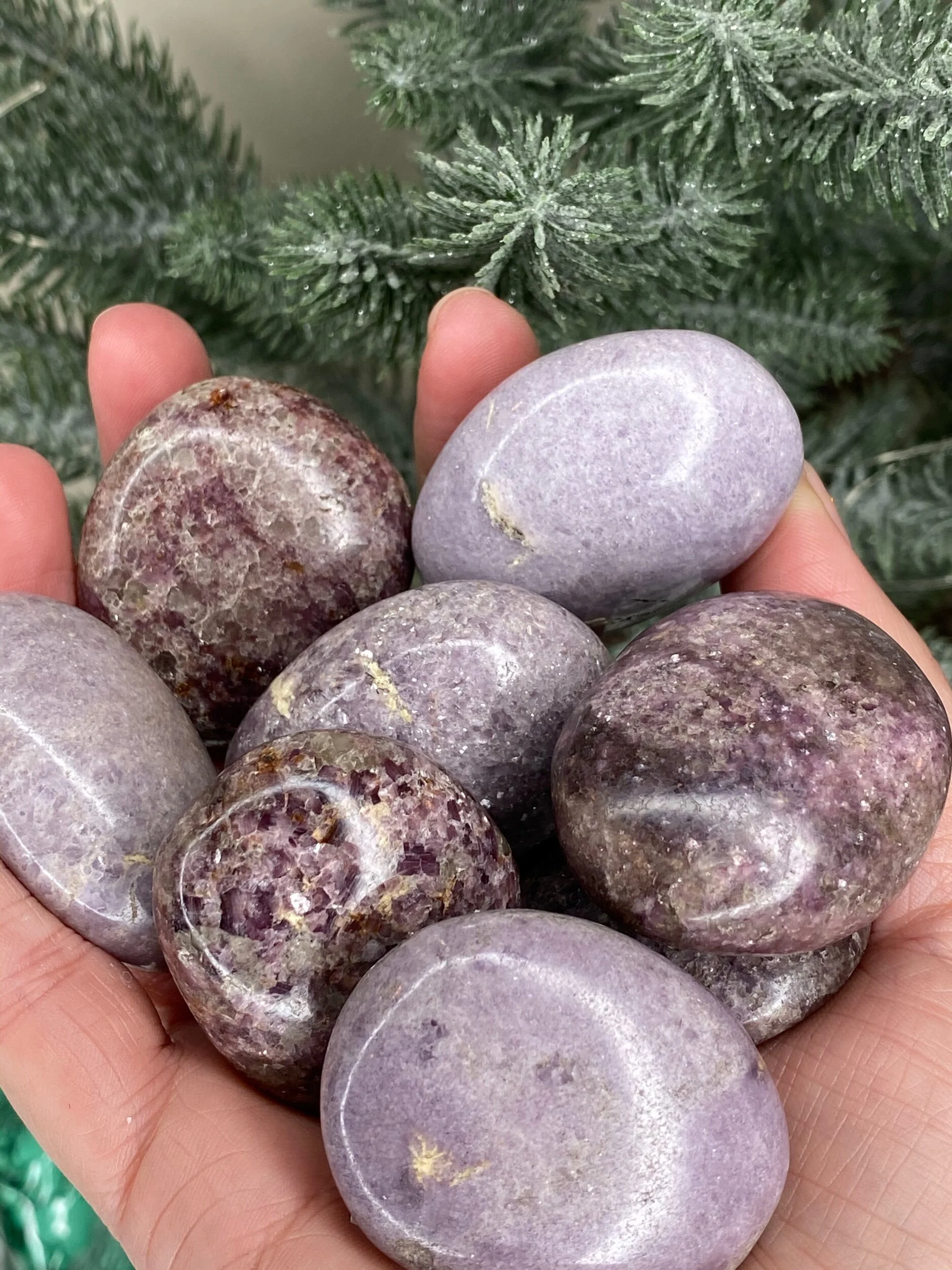 B9B8A620-F788-442B-833C-6DB6A2588591