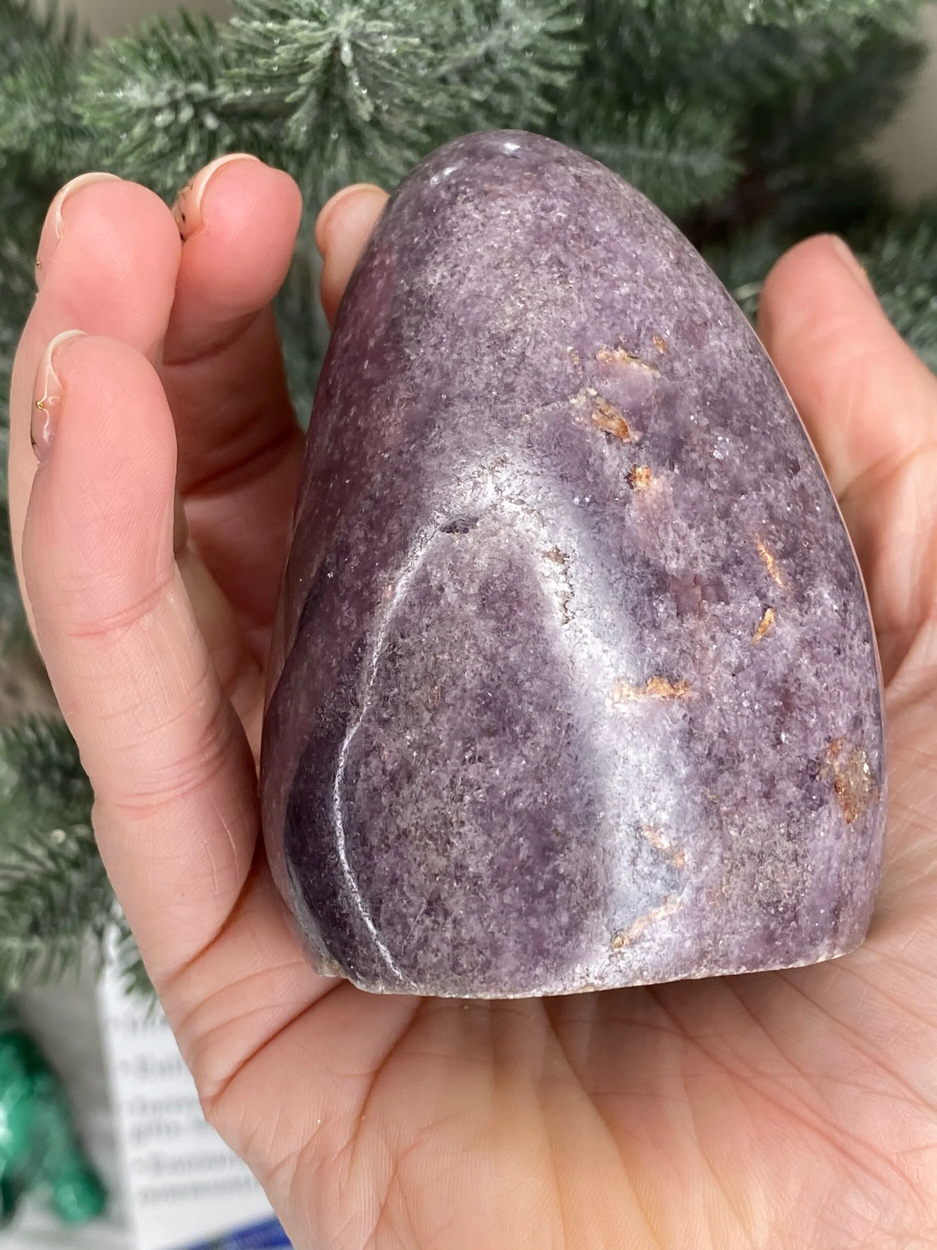 79CC2F42-DB25-4DF0-A8B9-FBFB26A518E2