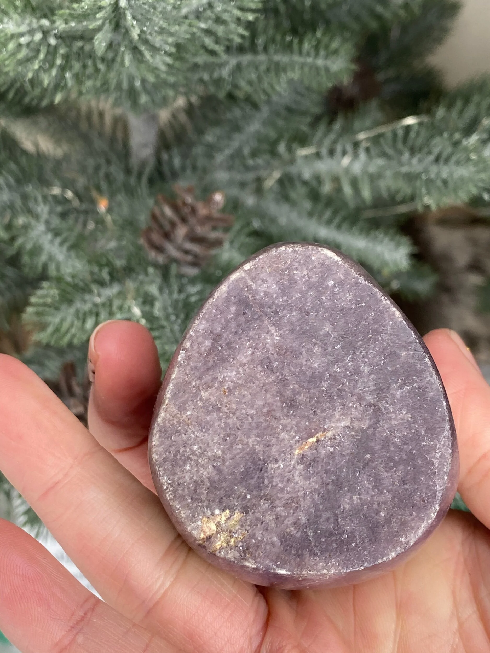 82D903A1-4A25-4BE3-B1B2-A38FD8D96076