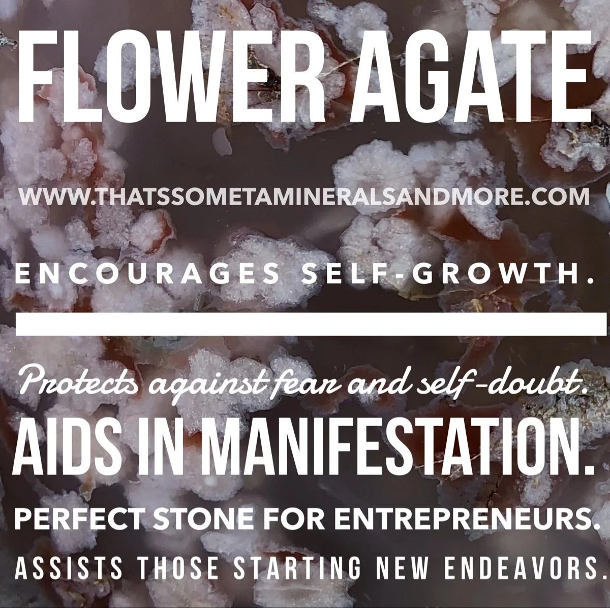 DEE7E192-C359-4F0E-9B15-B1565E3966B5