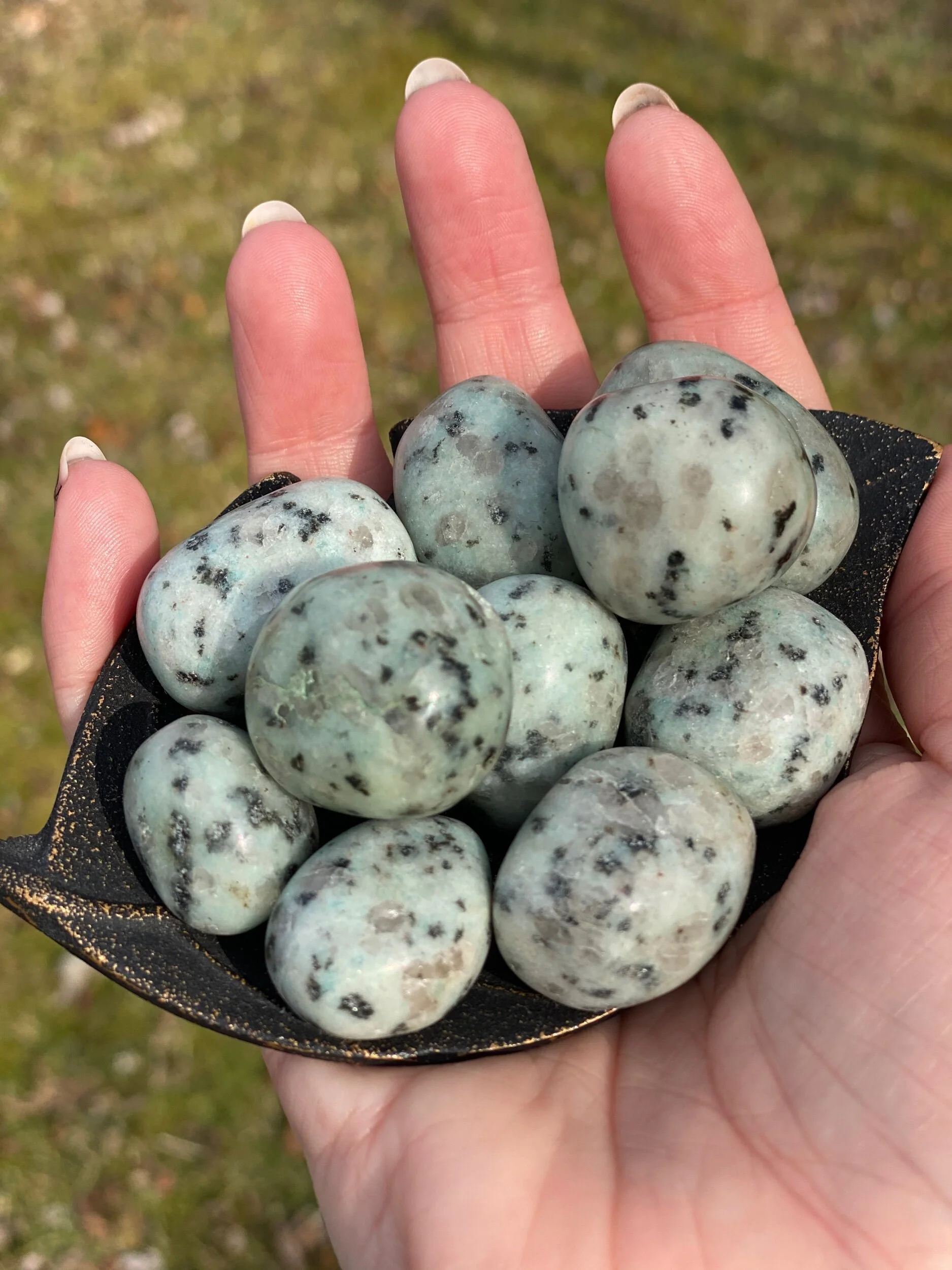 BC9D75F5-3AB5-4916-A4E0-9DB7554164E2