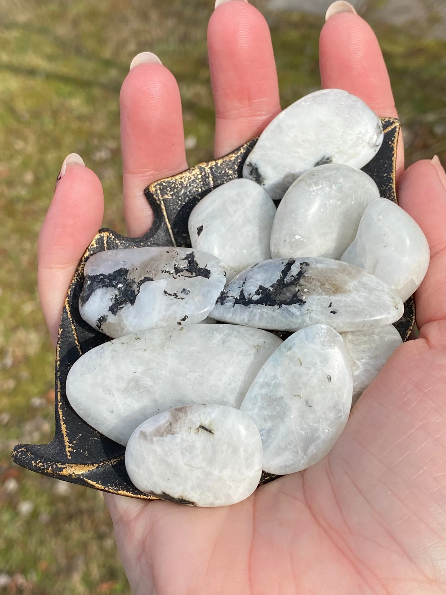 84354410-ECF2-40EA-B3FC-687C9B3377EB