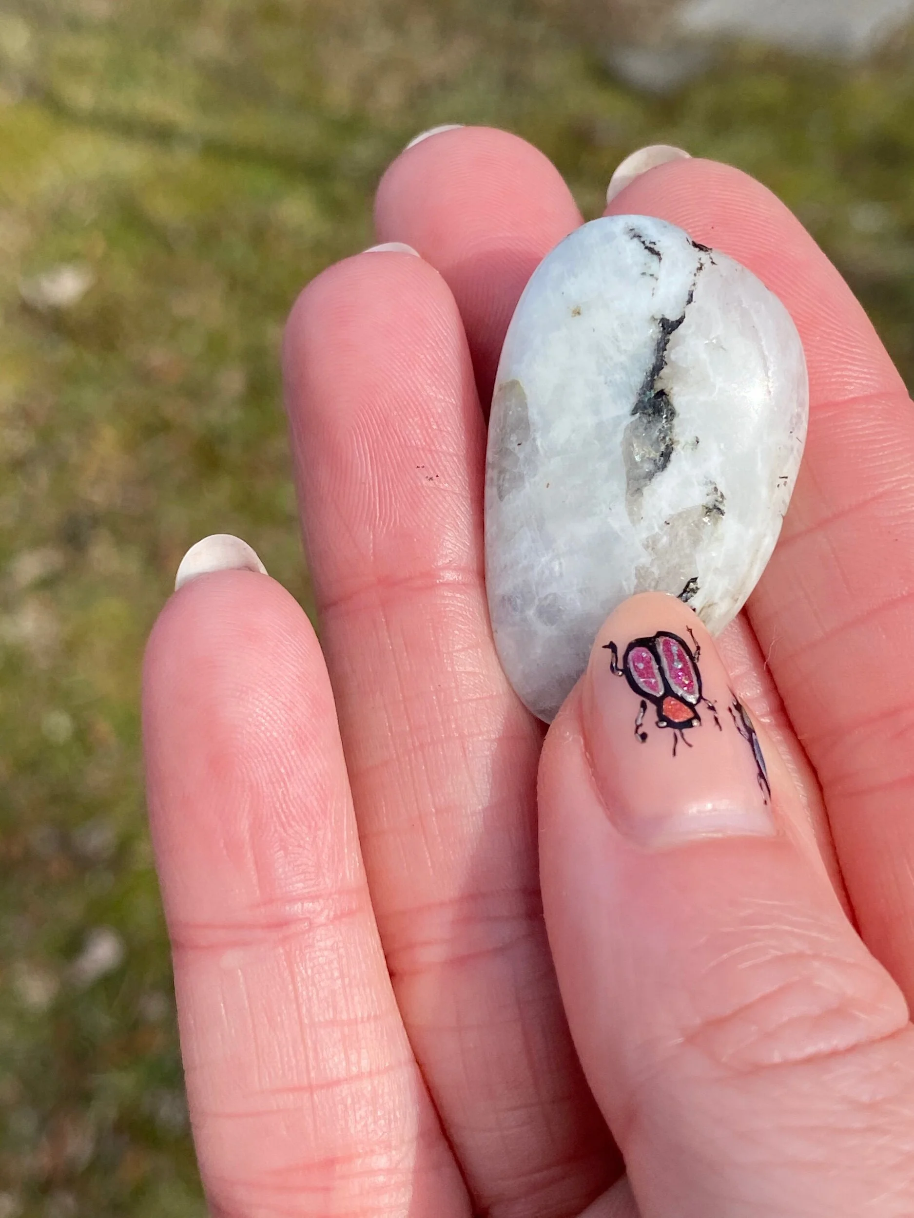 53E0DC9E-D798-4A7D-8763-15E7AE3FB377