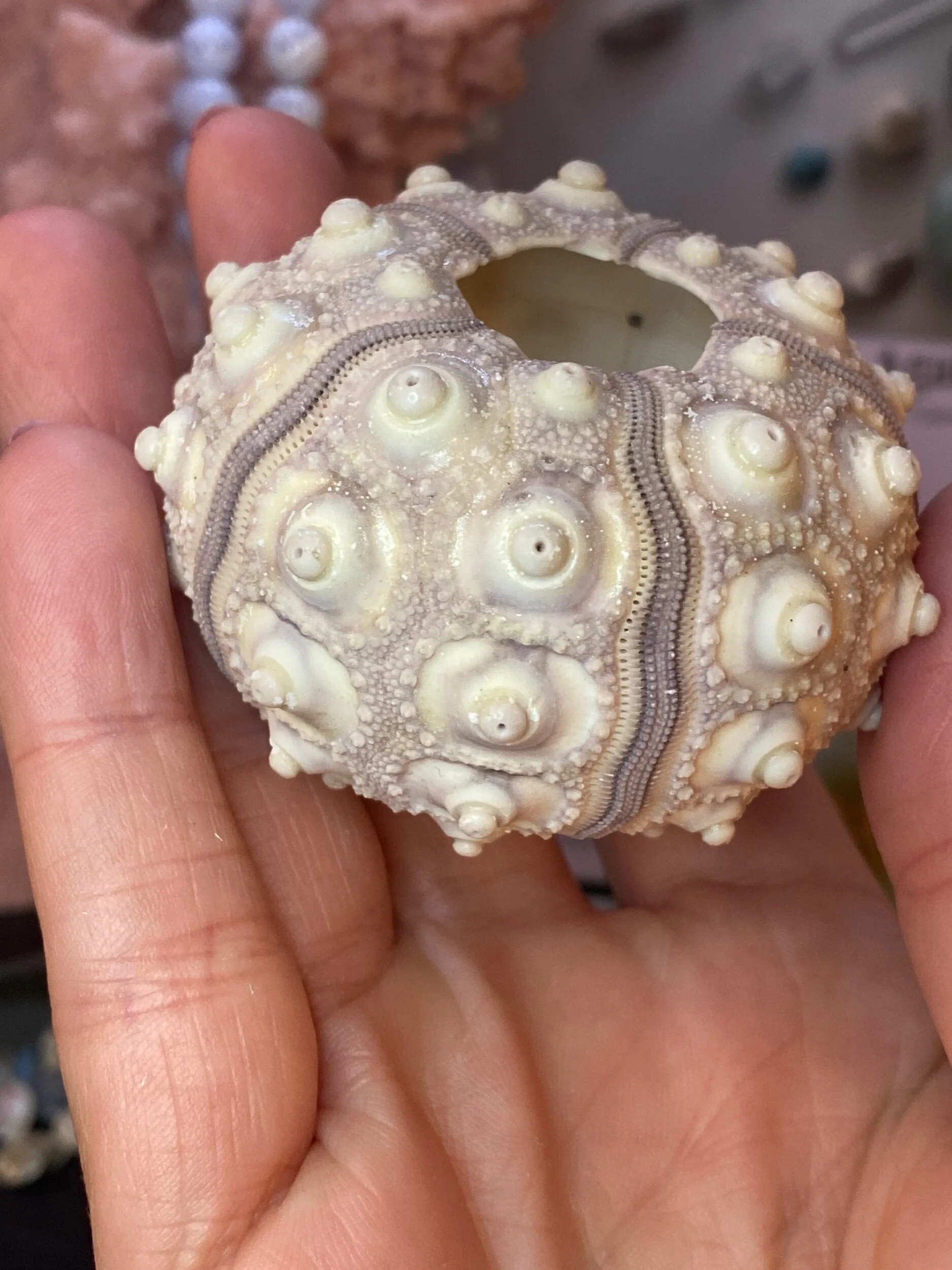 3EEF15A8-1E14-48CA-BAFB-76118621252D