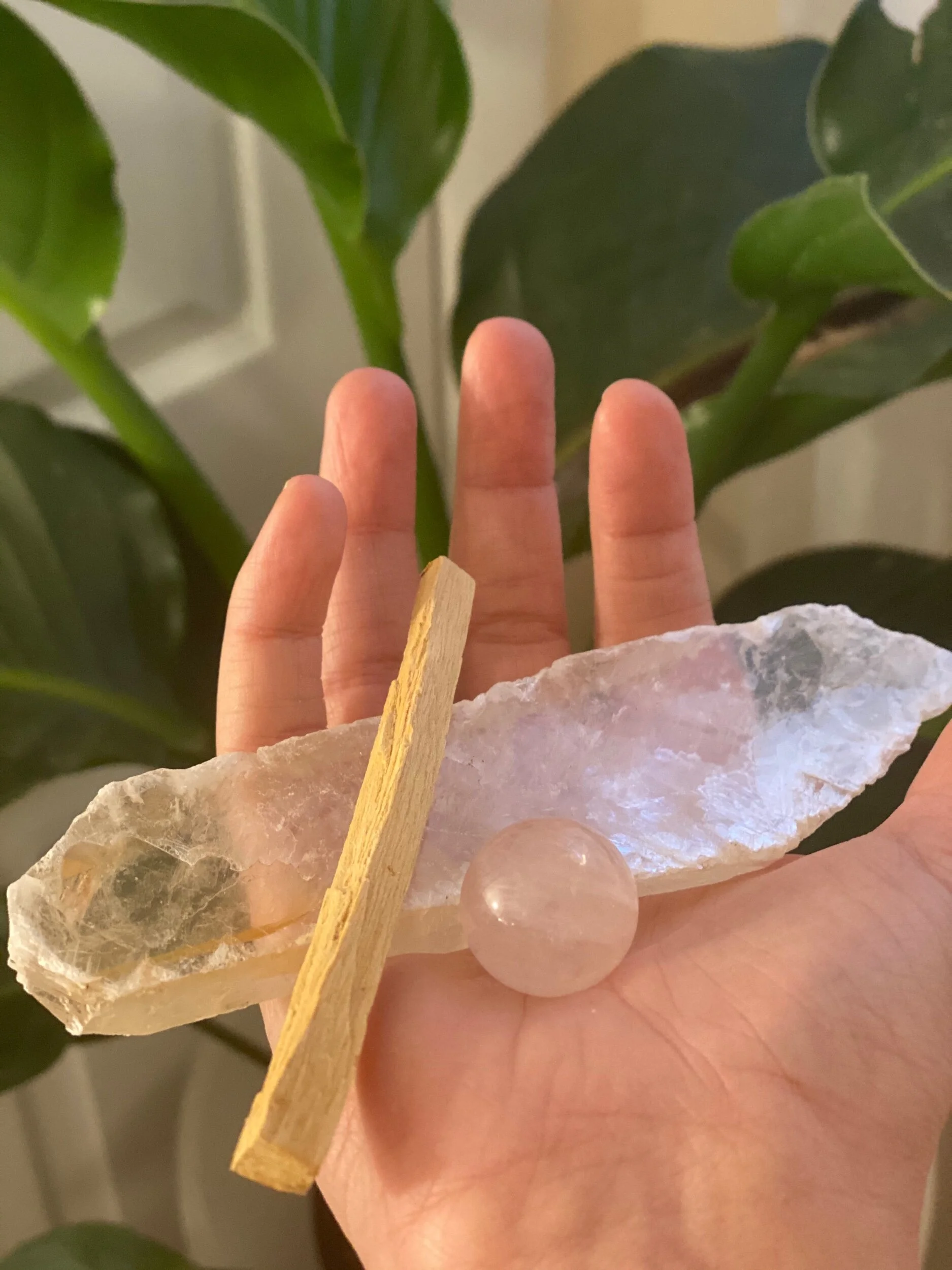 CE22872F-23B2-4608-8C19-22D8CCECDFA5