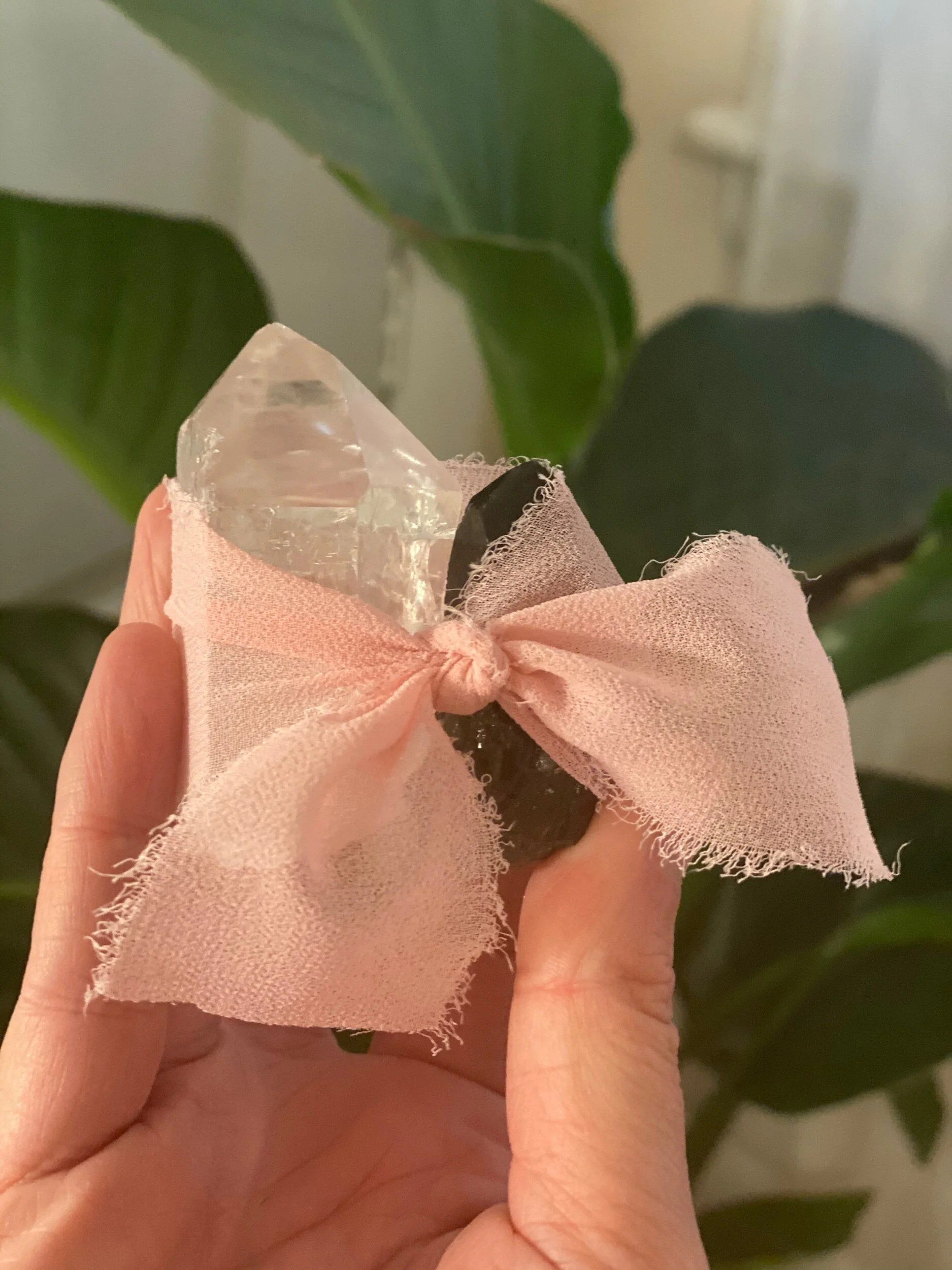 2CE9A1A3-F076-42F5-BC7F-46C2AF6258AD