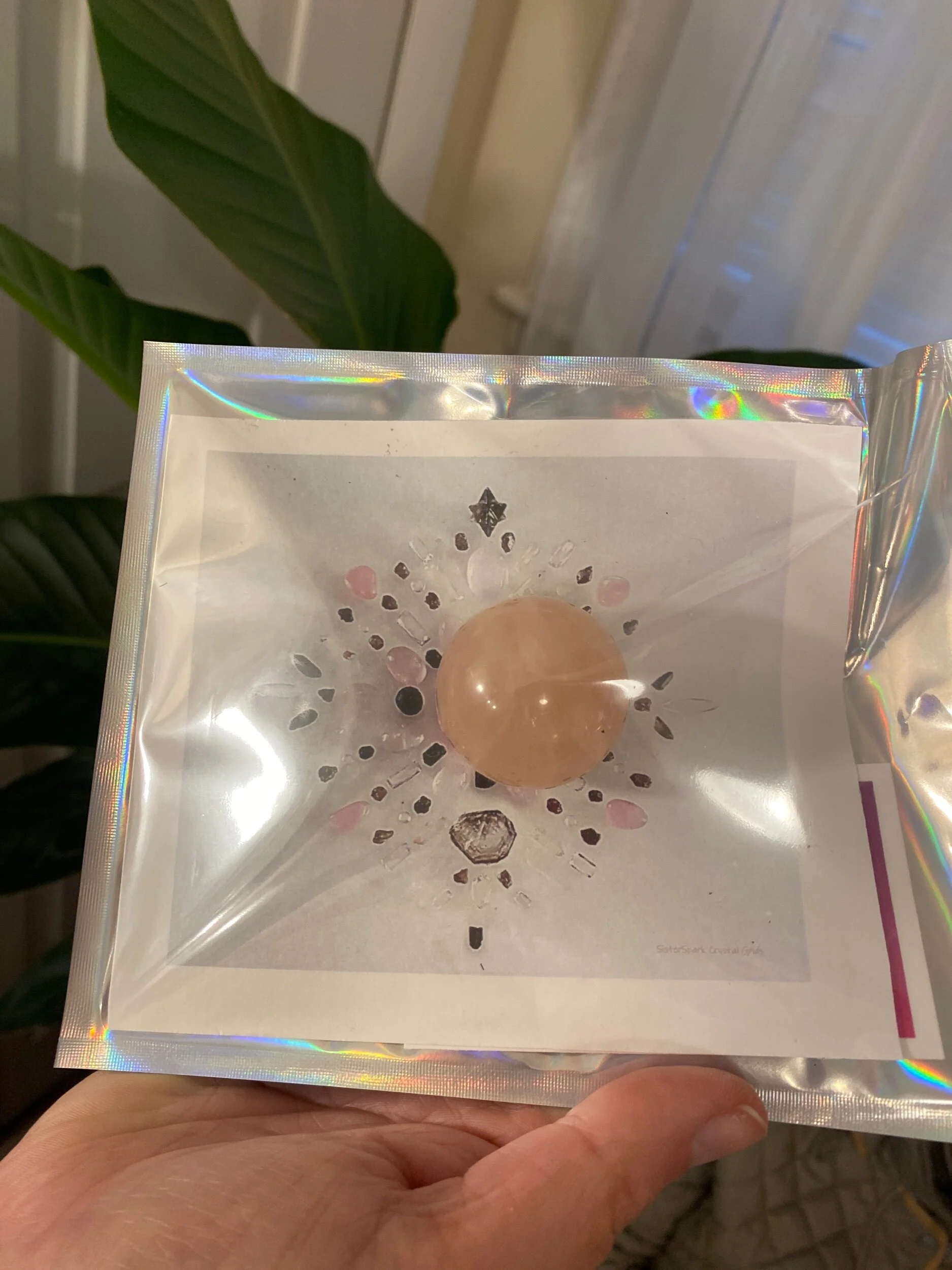 B4506402-B6BE-478F-8EDA-0A5EDEF4139C