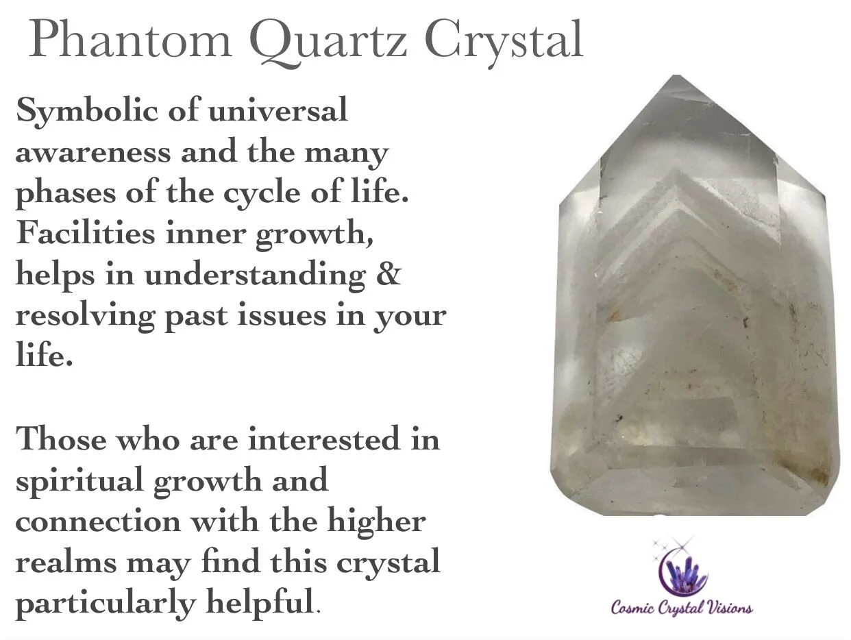 E564297F-25AE-4024-A8F2-3DC6CD7439B6