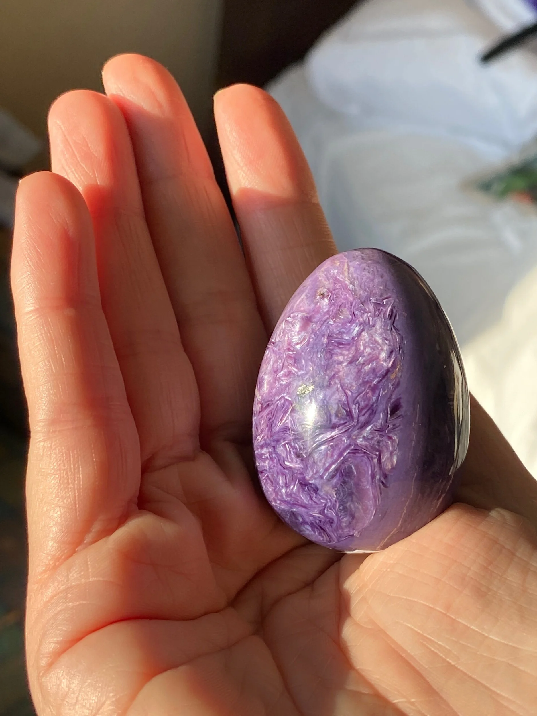 17BE9562-C673-4DF3-9A22-76E85FD6903F