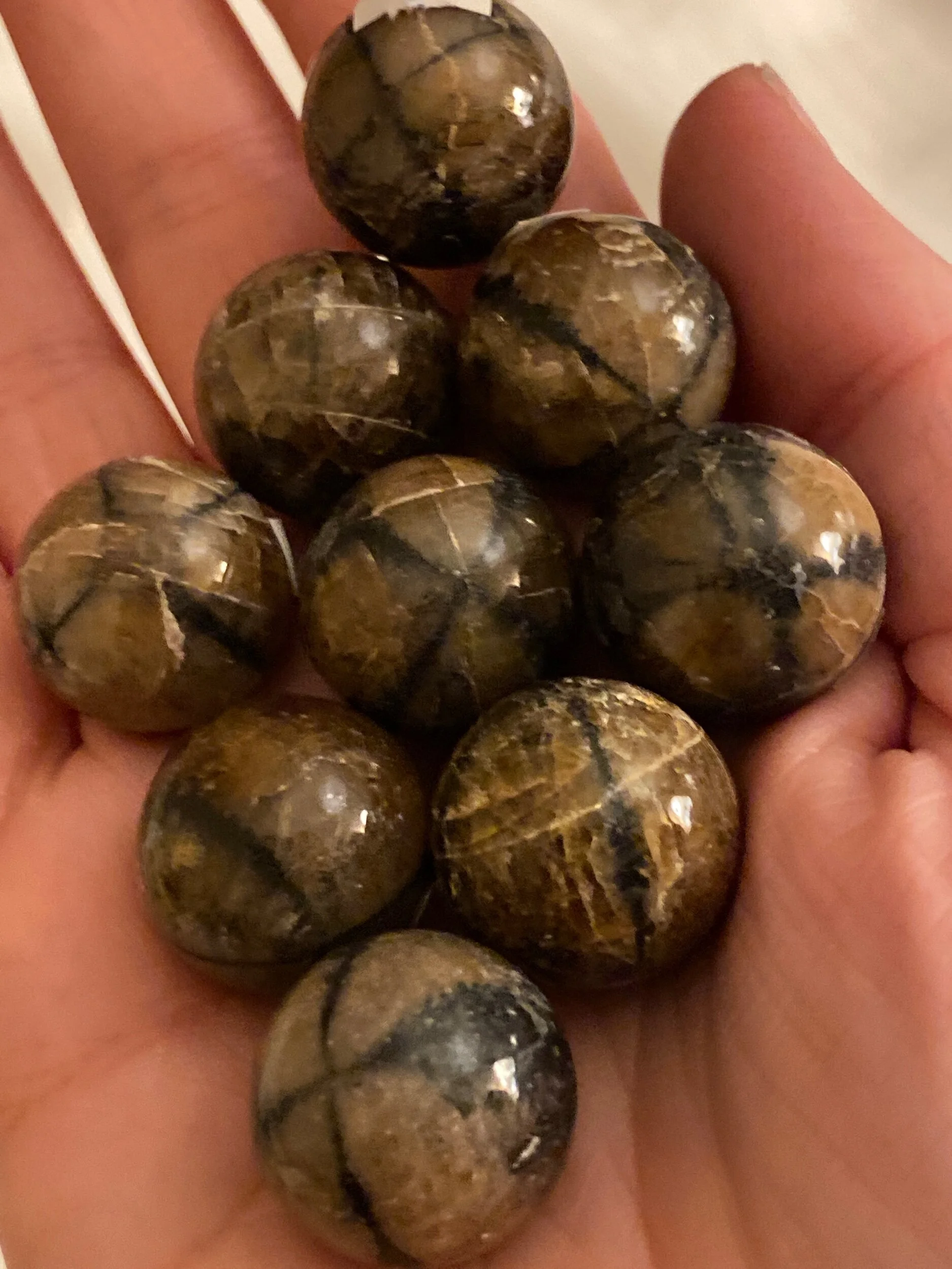 5A82F6B8-080C-4703-A72F-5F90D7CE8B9C